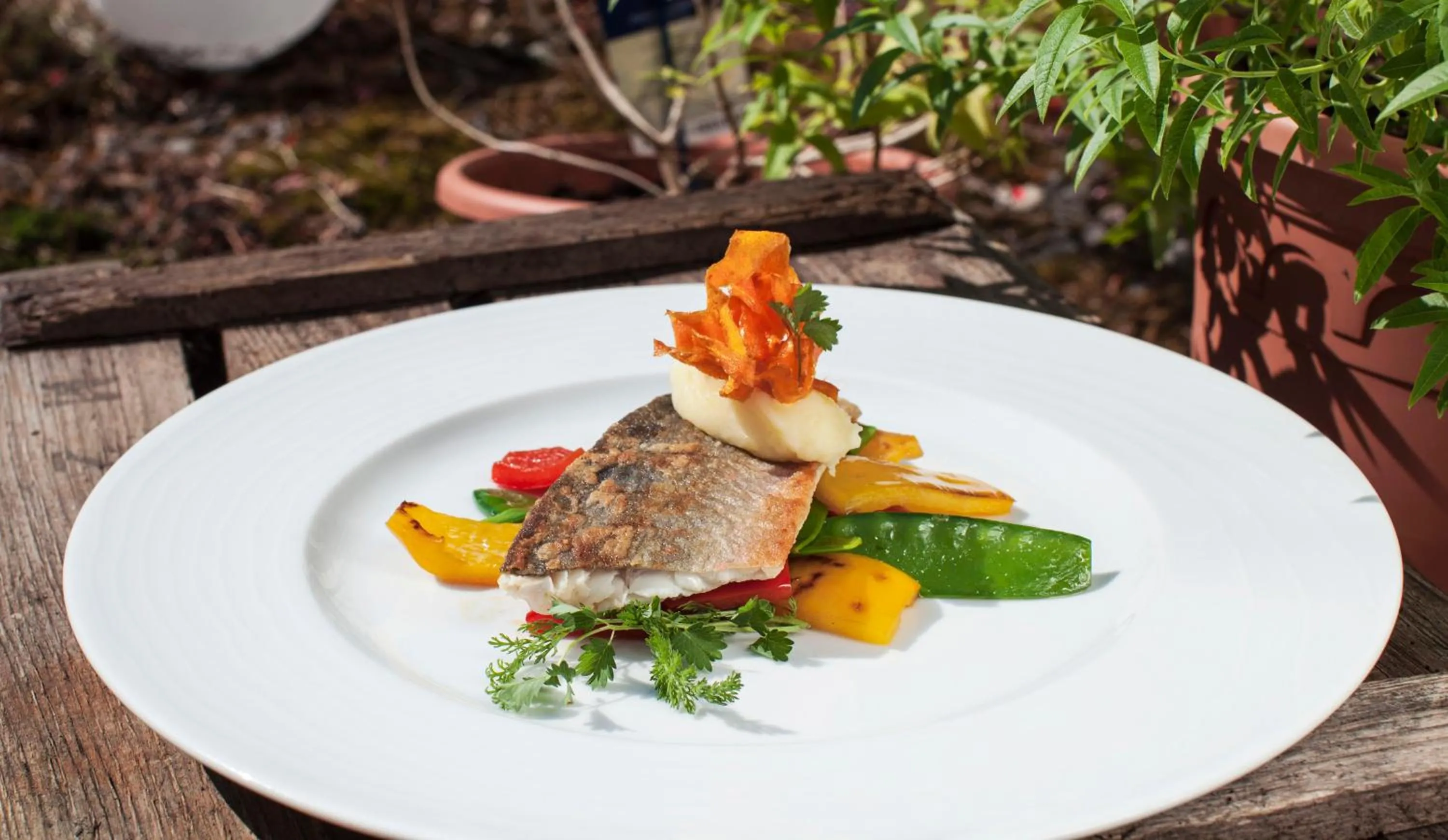 Food close-up in Forellenhof Rössle Hotel & Restaurant