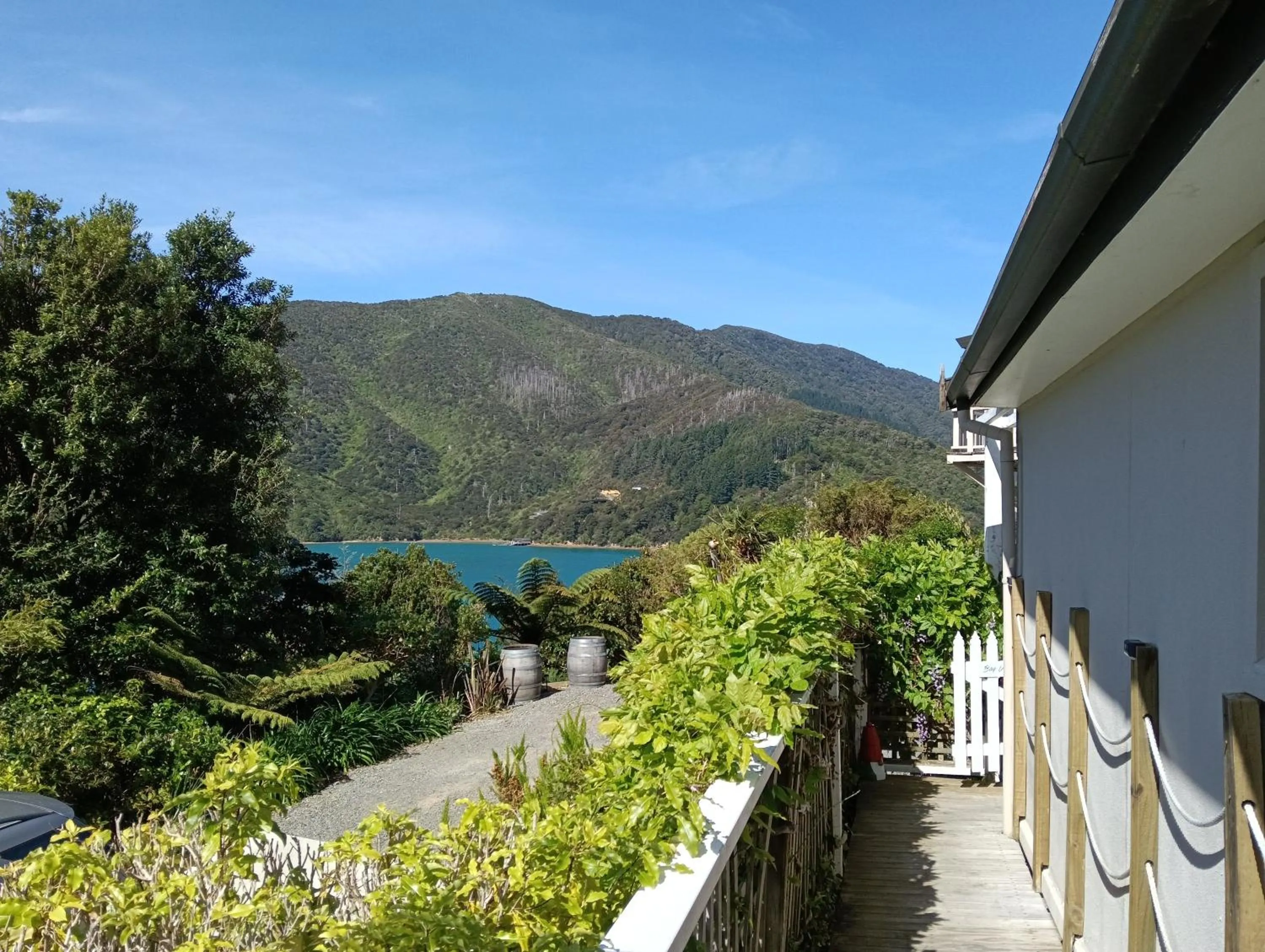 Garden view in A Sea View B&B