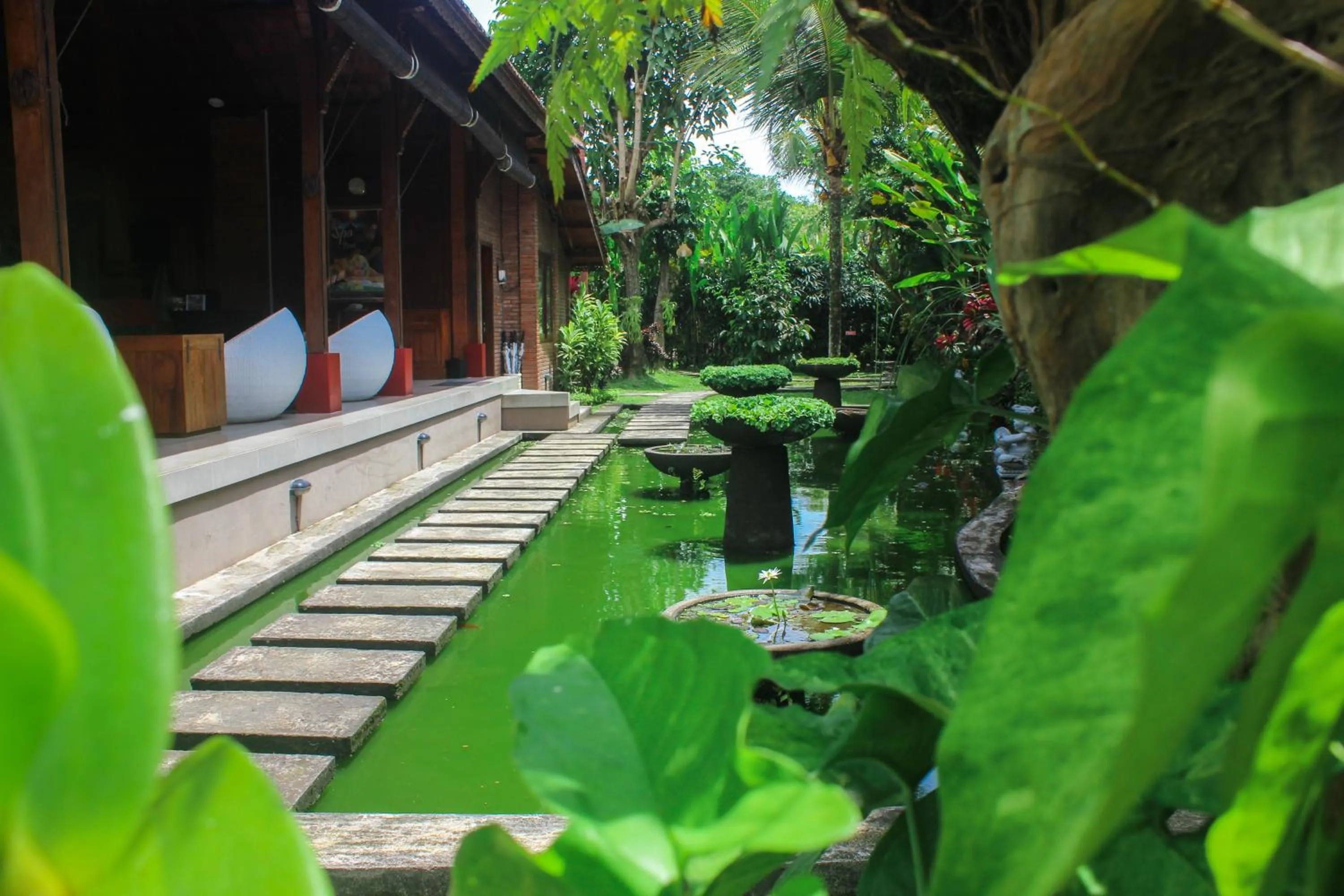 Natural landscape in Ubud Heaven Penestanan