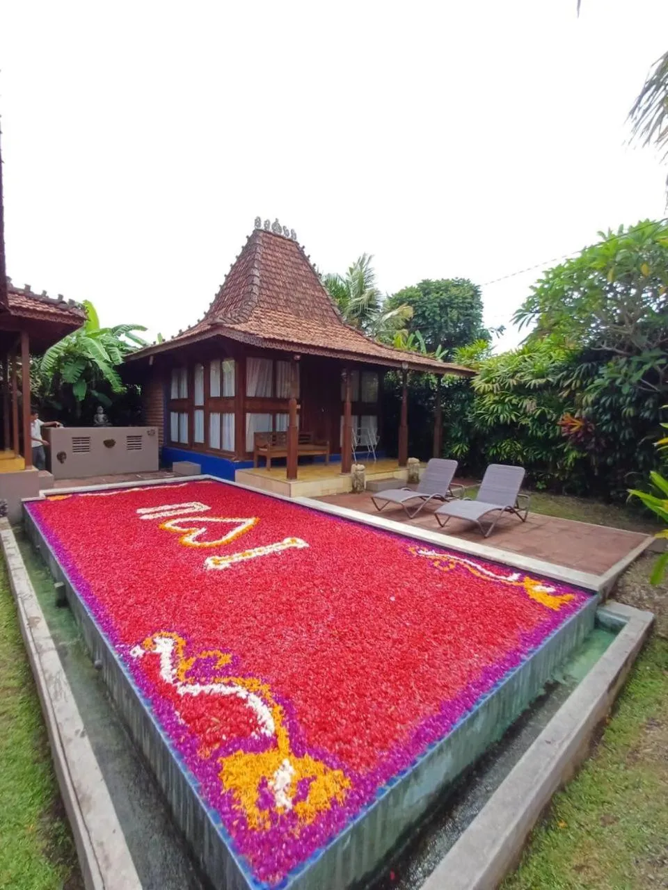 Swimming pool in Ubud Heaven Penestanan
