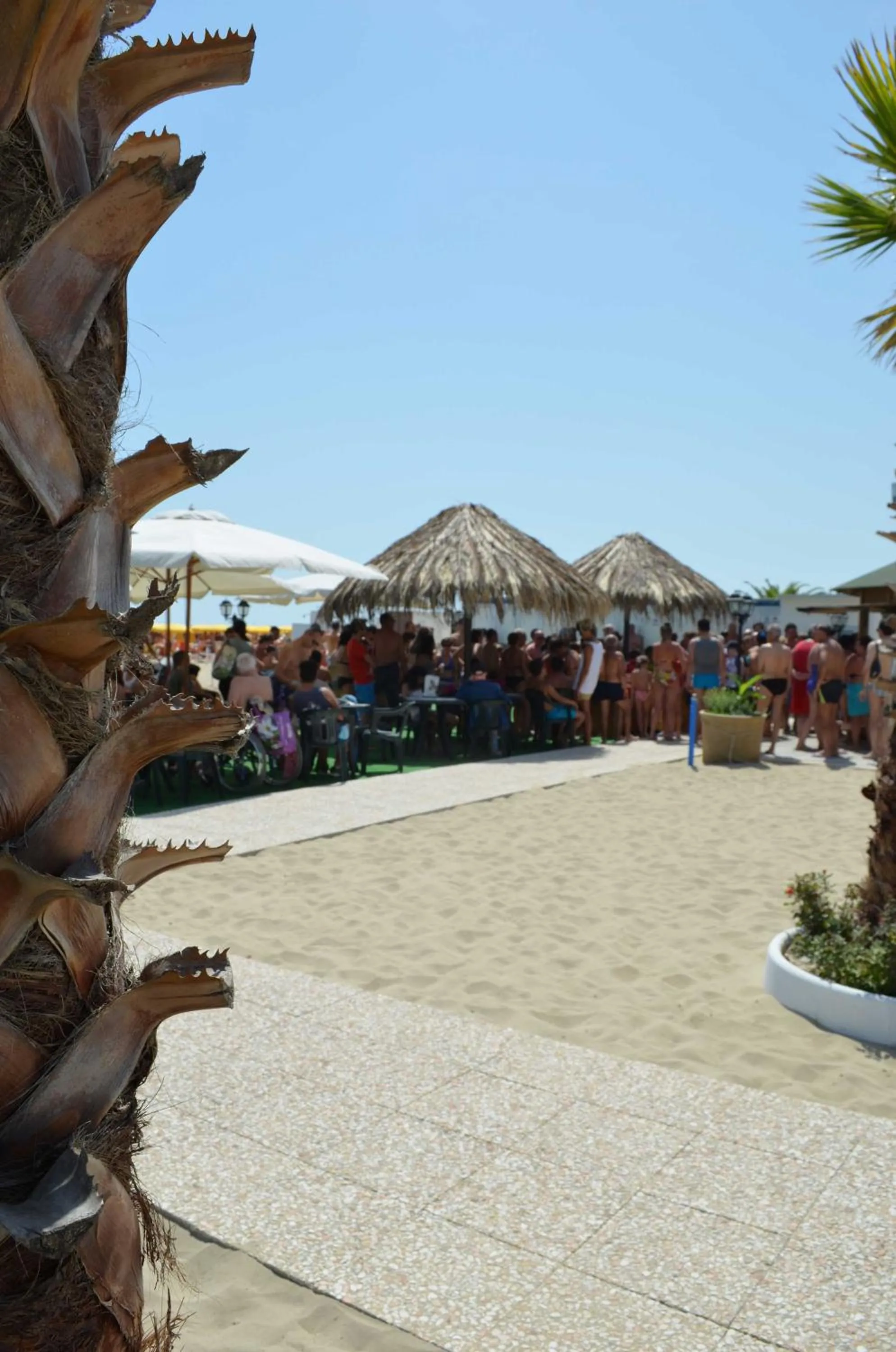 Beach in Hotel Principe