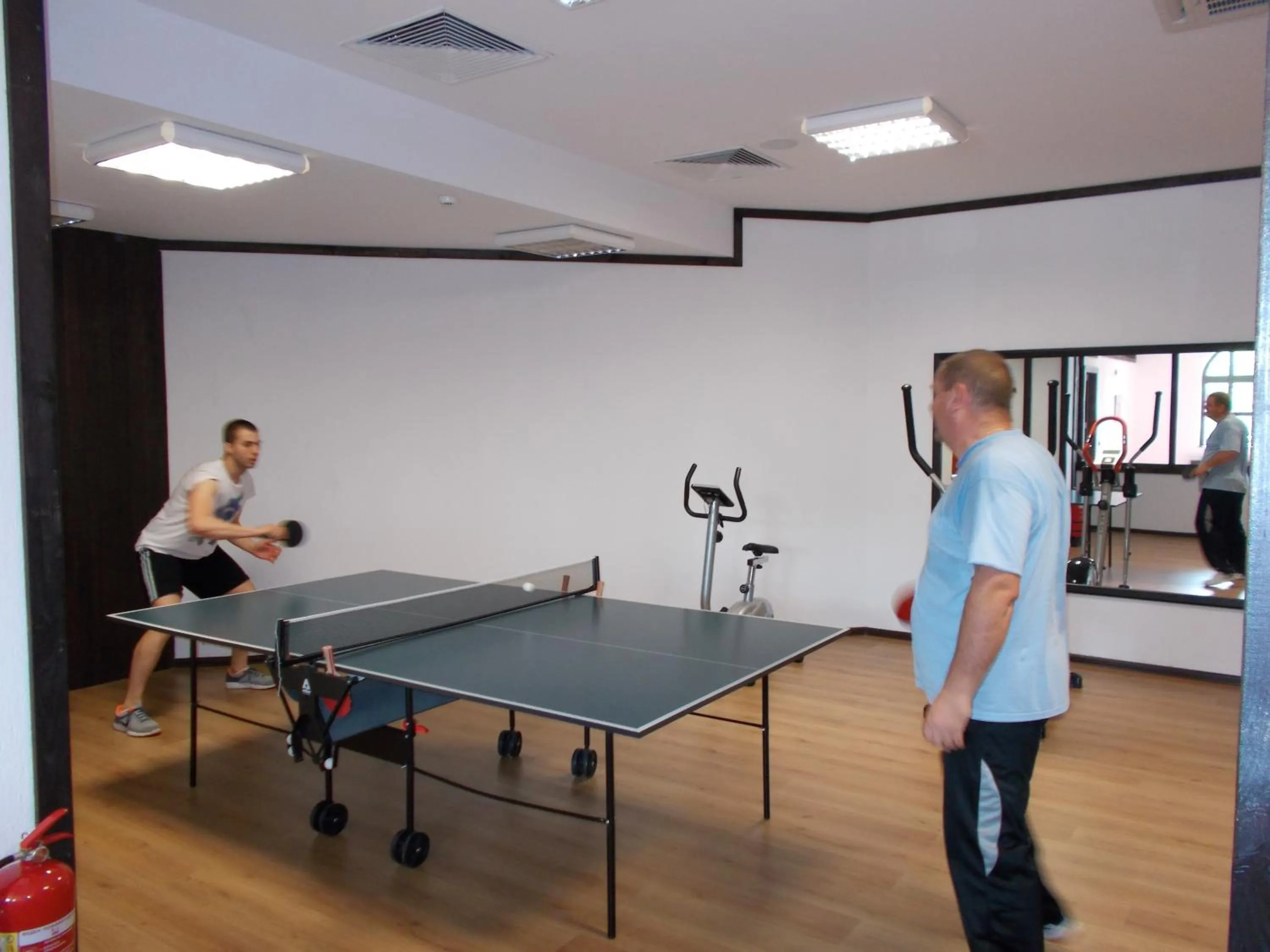 Table tennis in Panorama Family Hotel