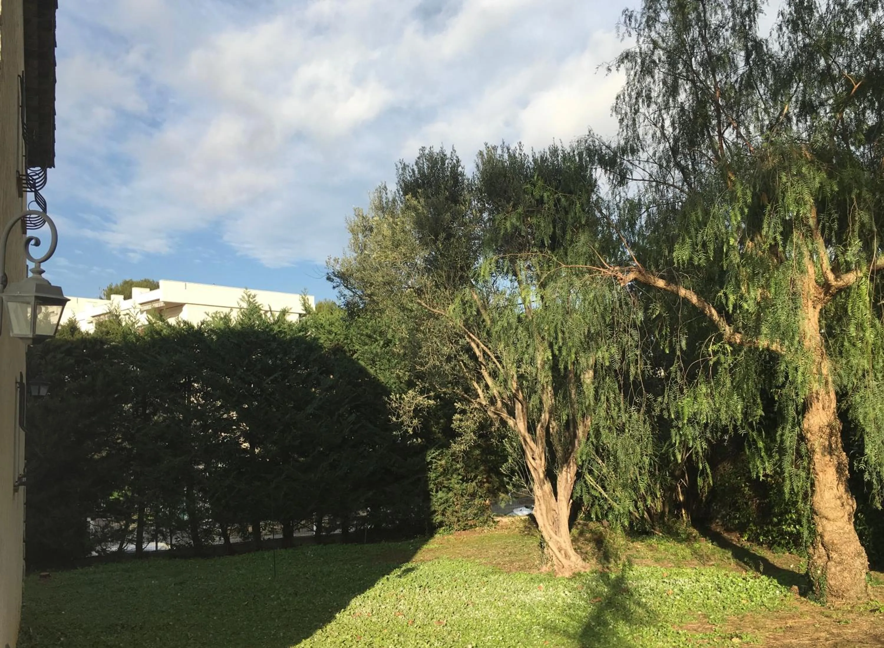 Garden in Villa Alessia