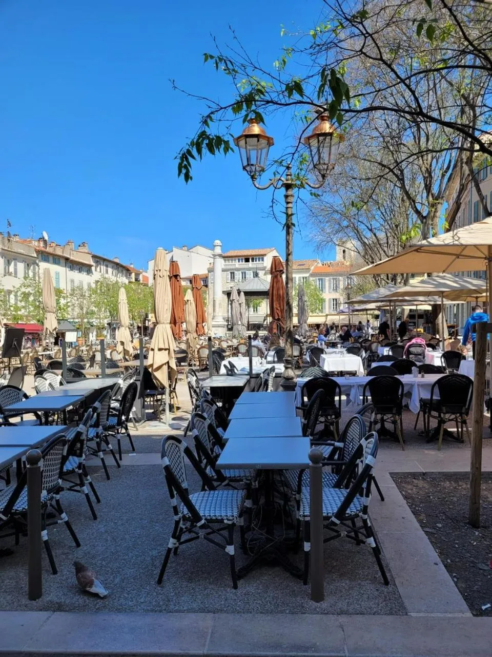 Restaurant/places to eat in Villa Alessia