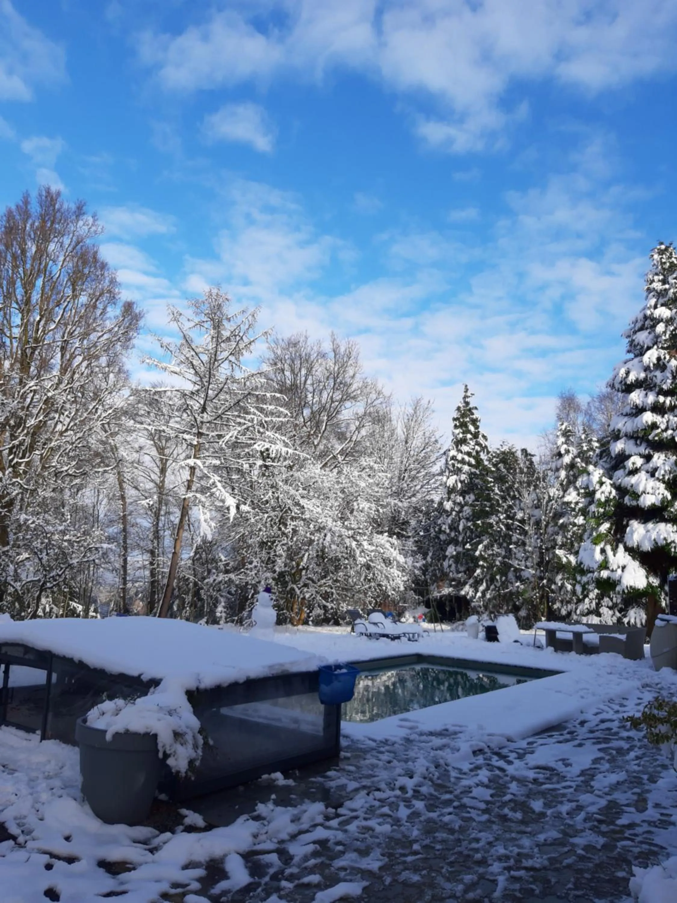 Swimming pool in B&B Chatelet Cremers
