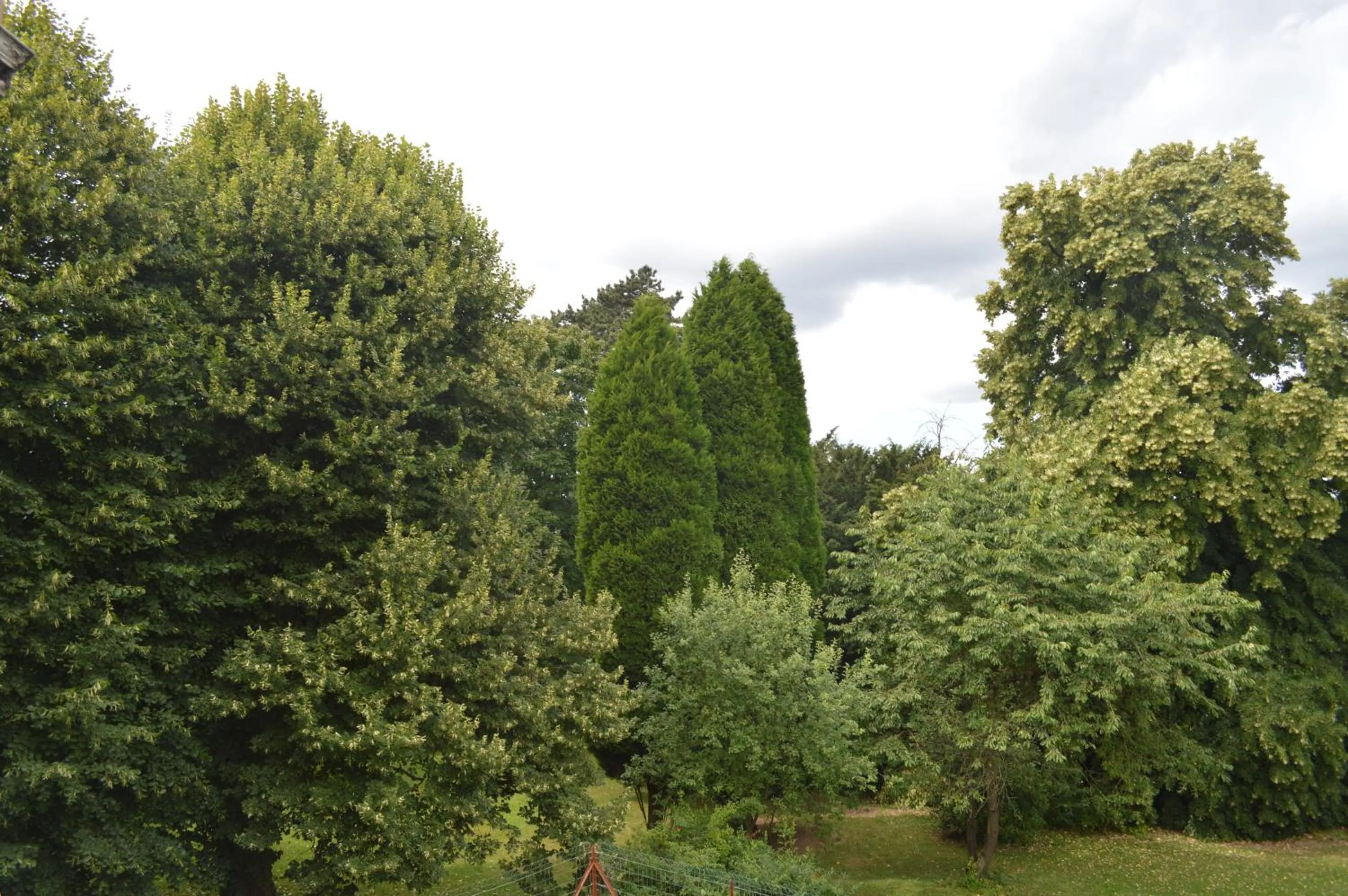 Garden in B&B Chatelet Cremers