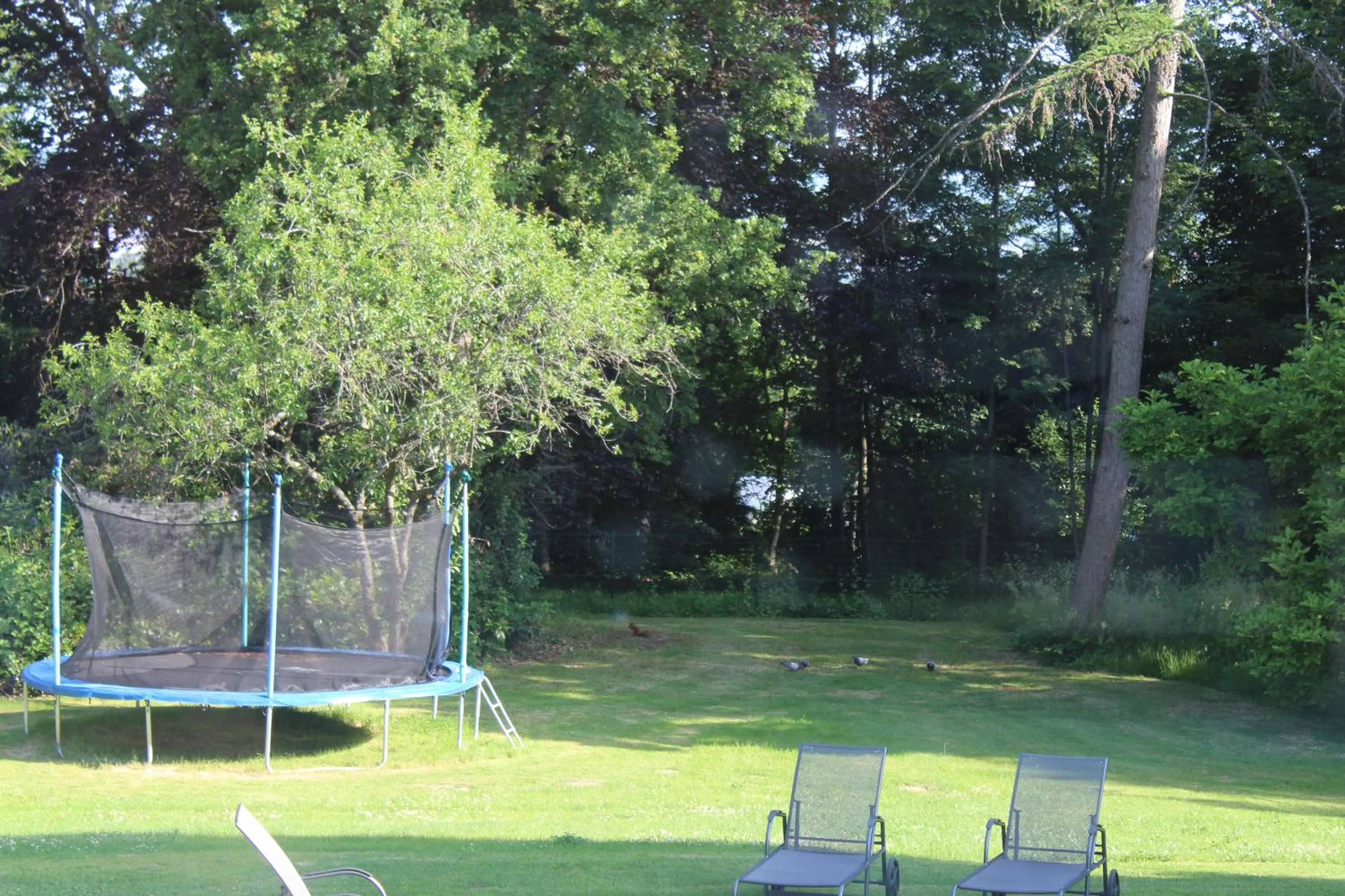 Garden view in B&B Chatelet Cremers