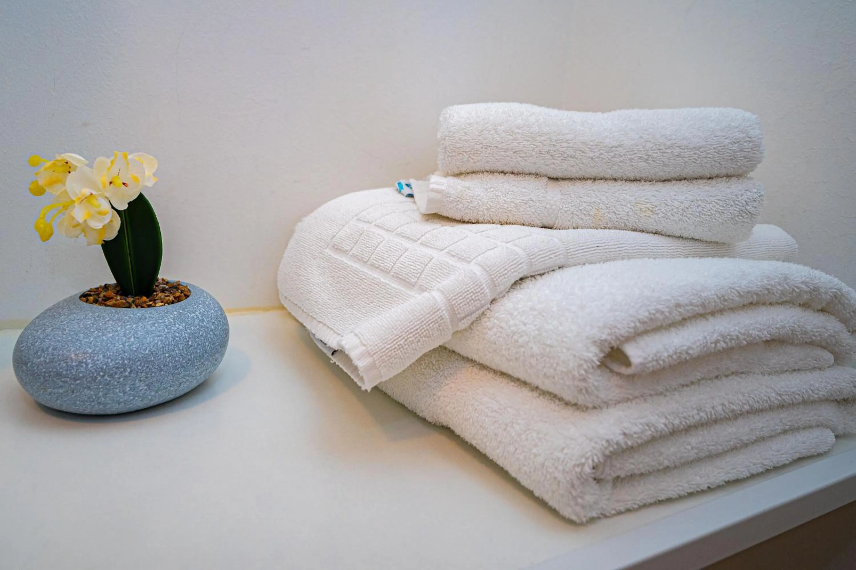 FRIENDS RESIDENCE Apartments