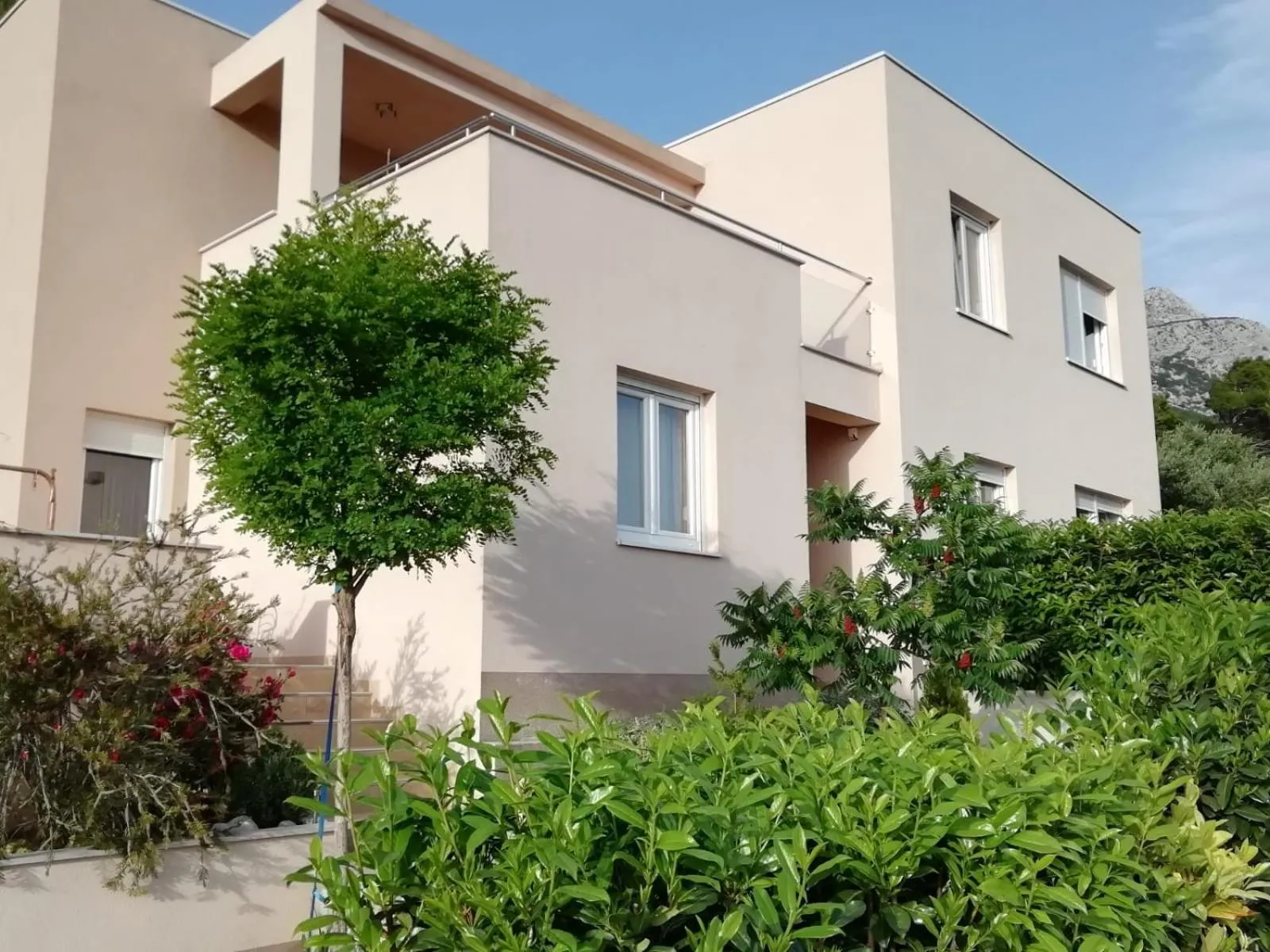 Property building in Apartment Dandelion