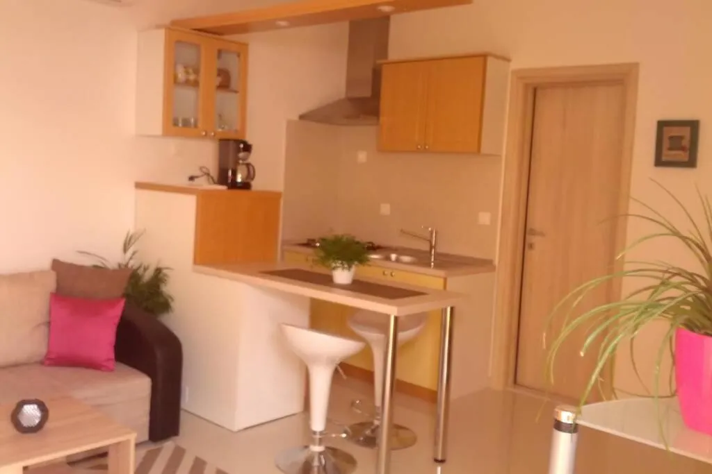 Apartment Dandelion