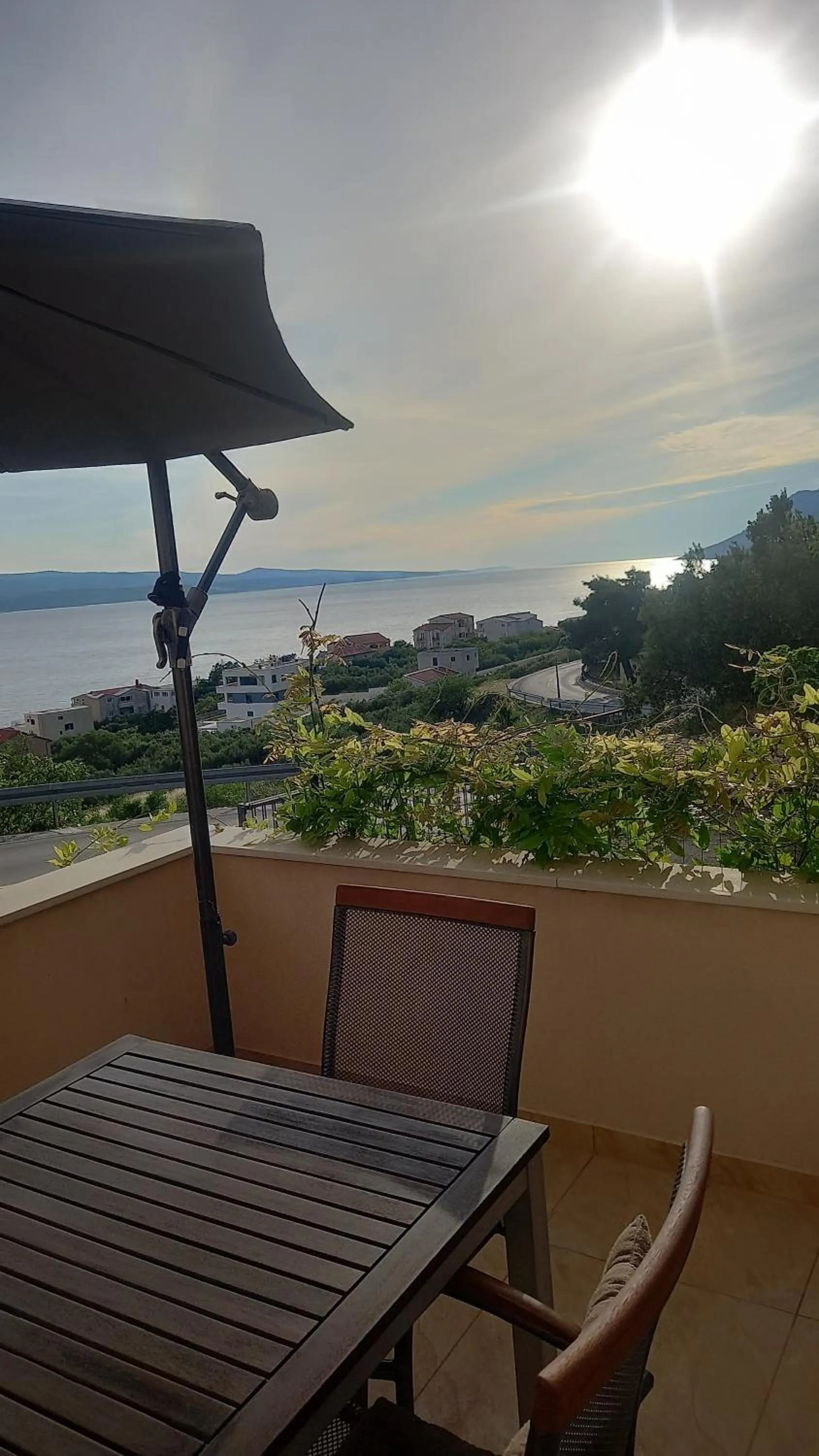 Balcony/Terrace in Apartment Dandelion