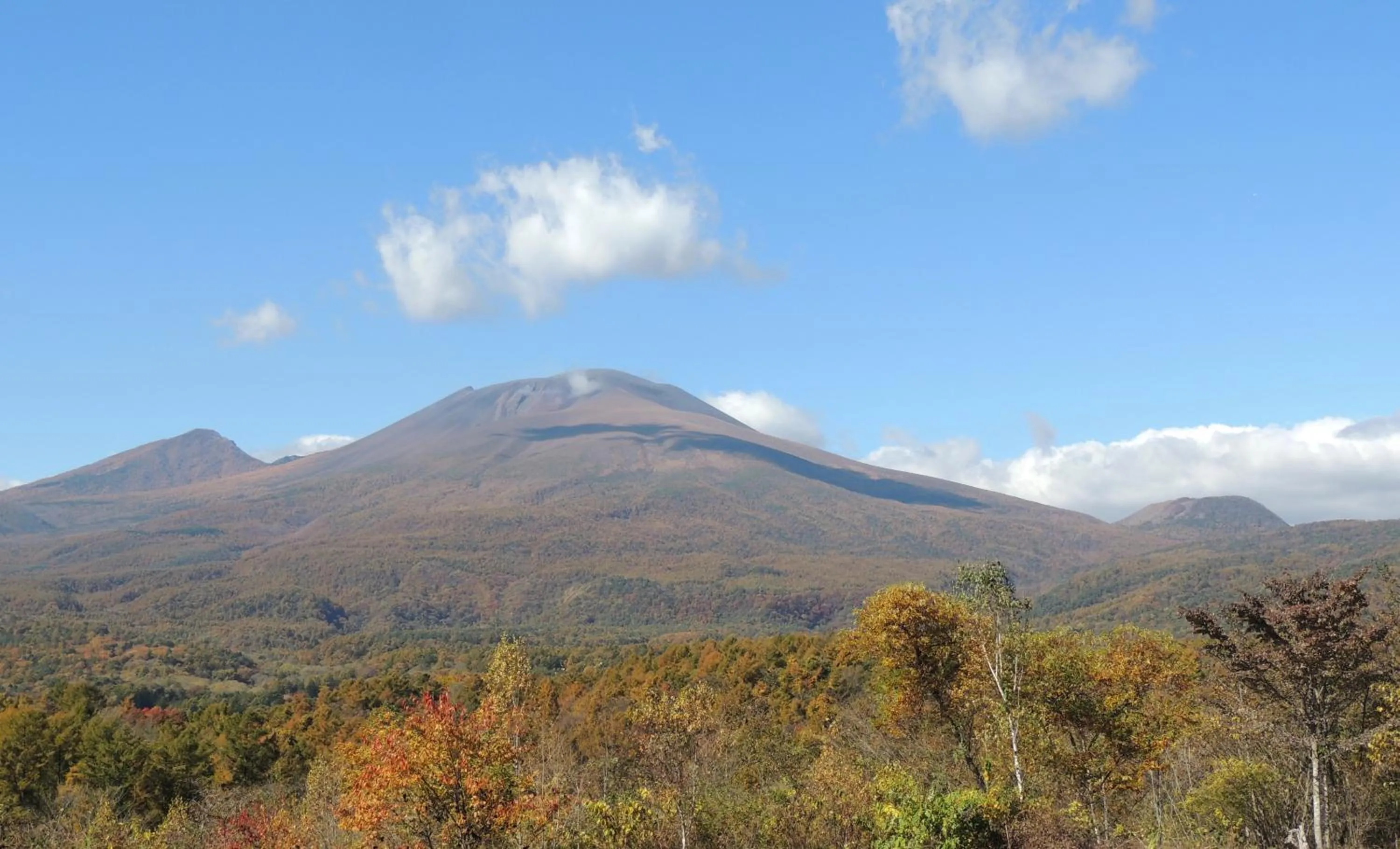Natural landscape in B&B Hotel Hyochoan