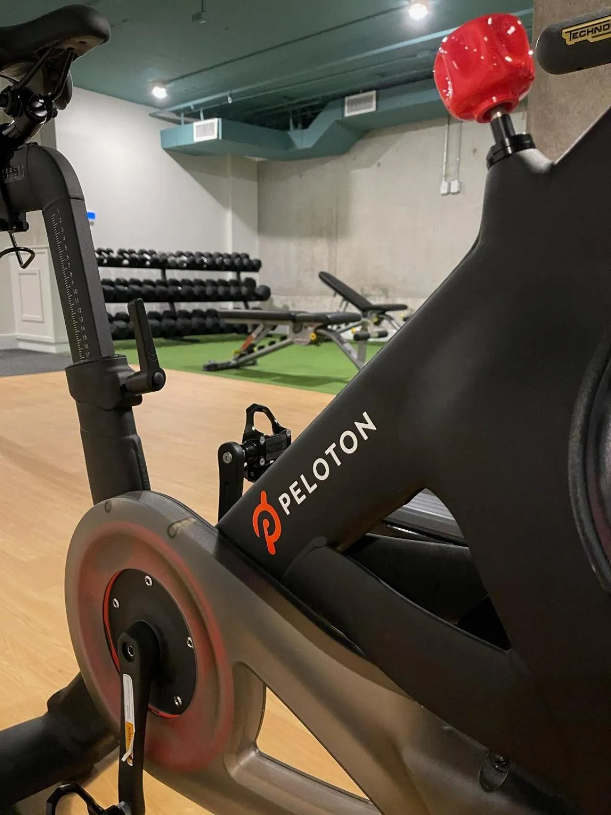 Fitness centre/facilities in Kompose Boutique Hotel Sarasota