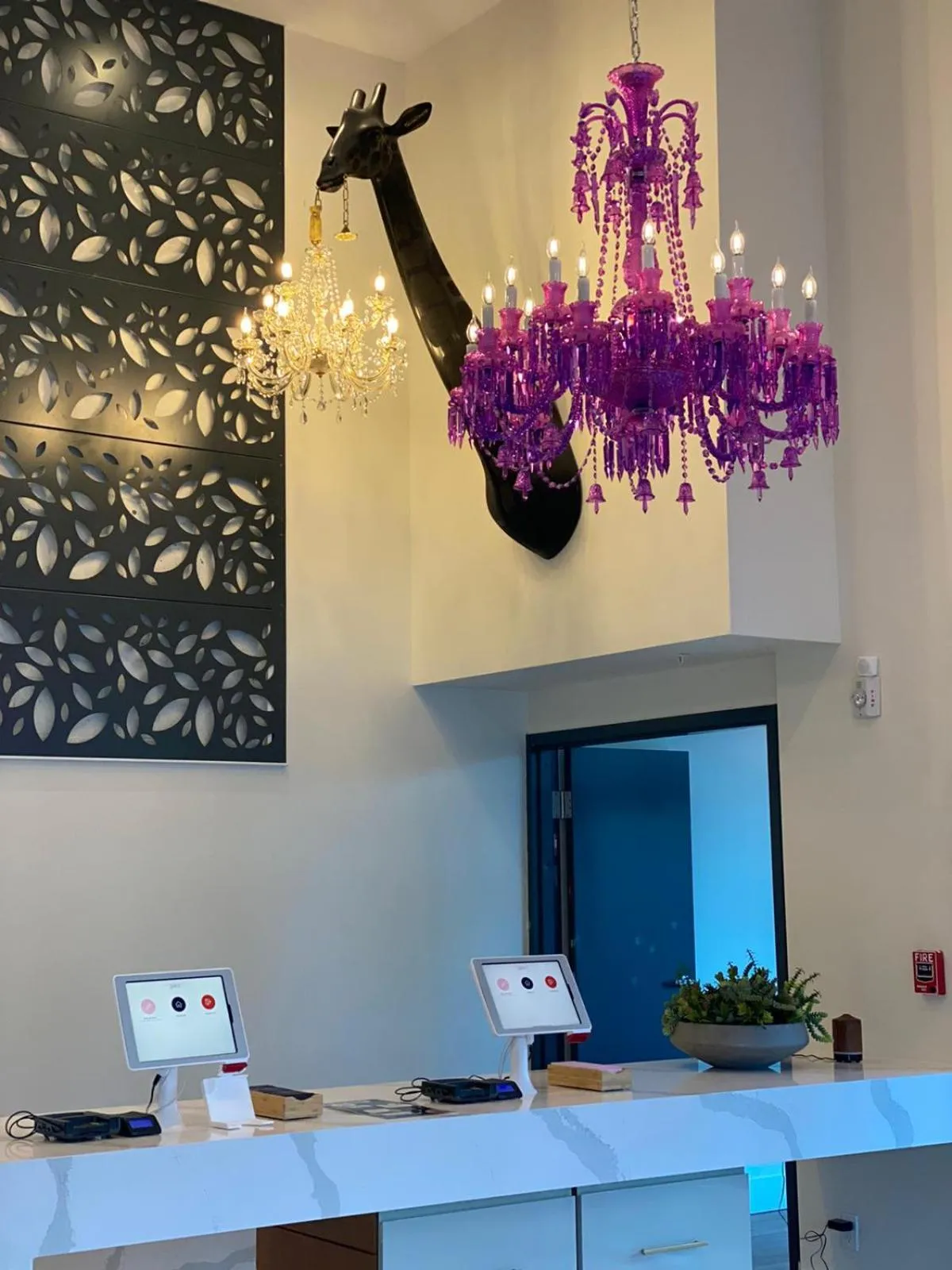 Lobby or reception in Kompose Boutique Hotel Sarasota