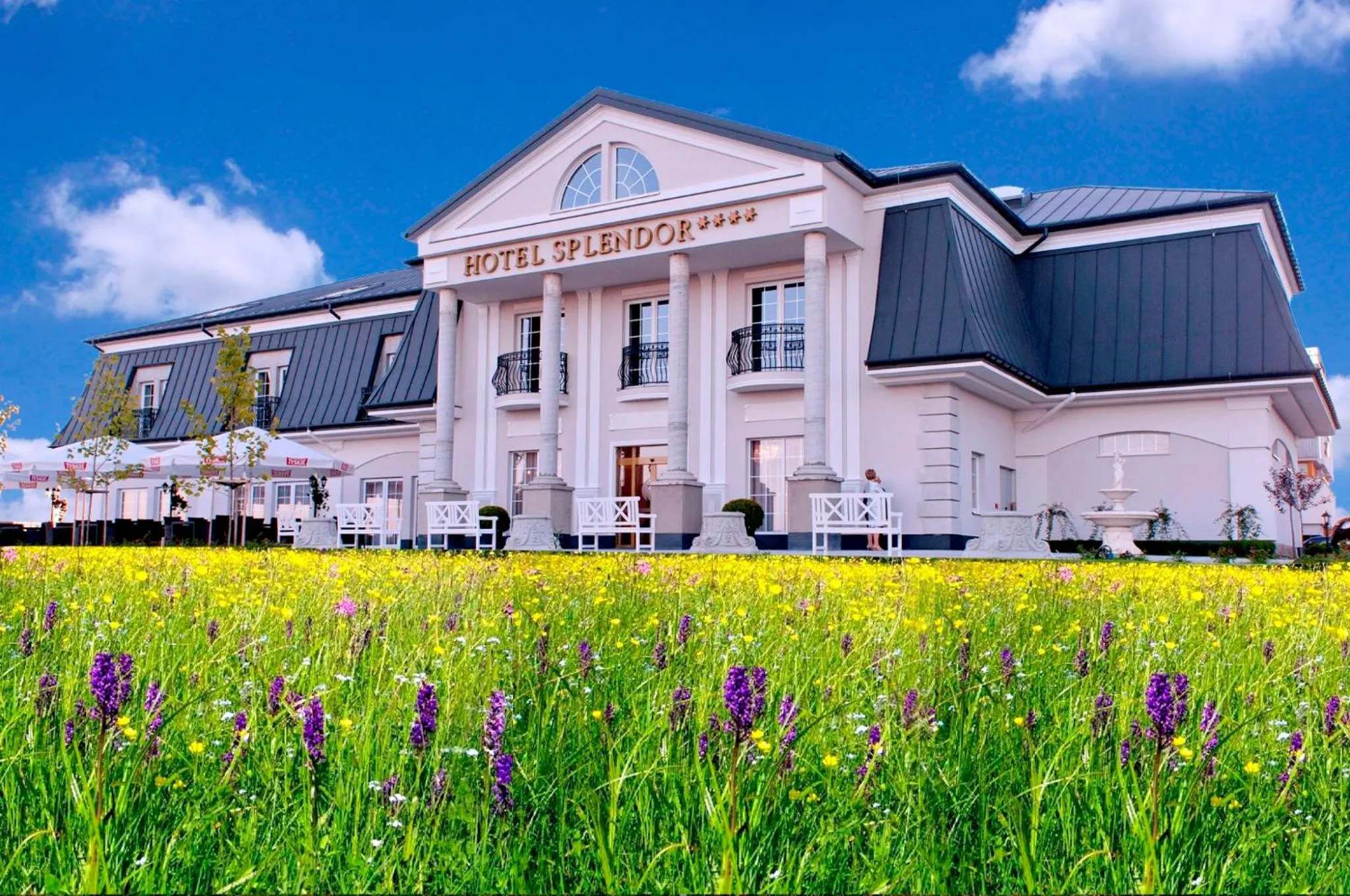 Hotel Splendor