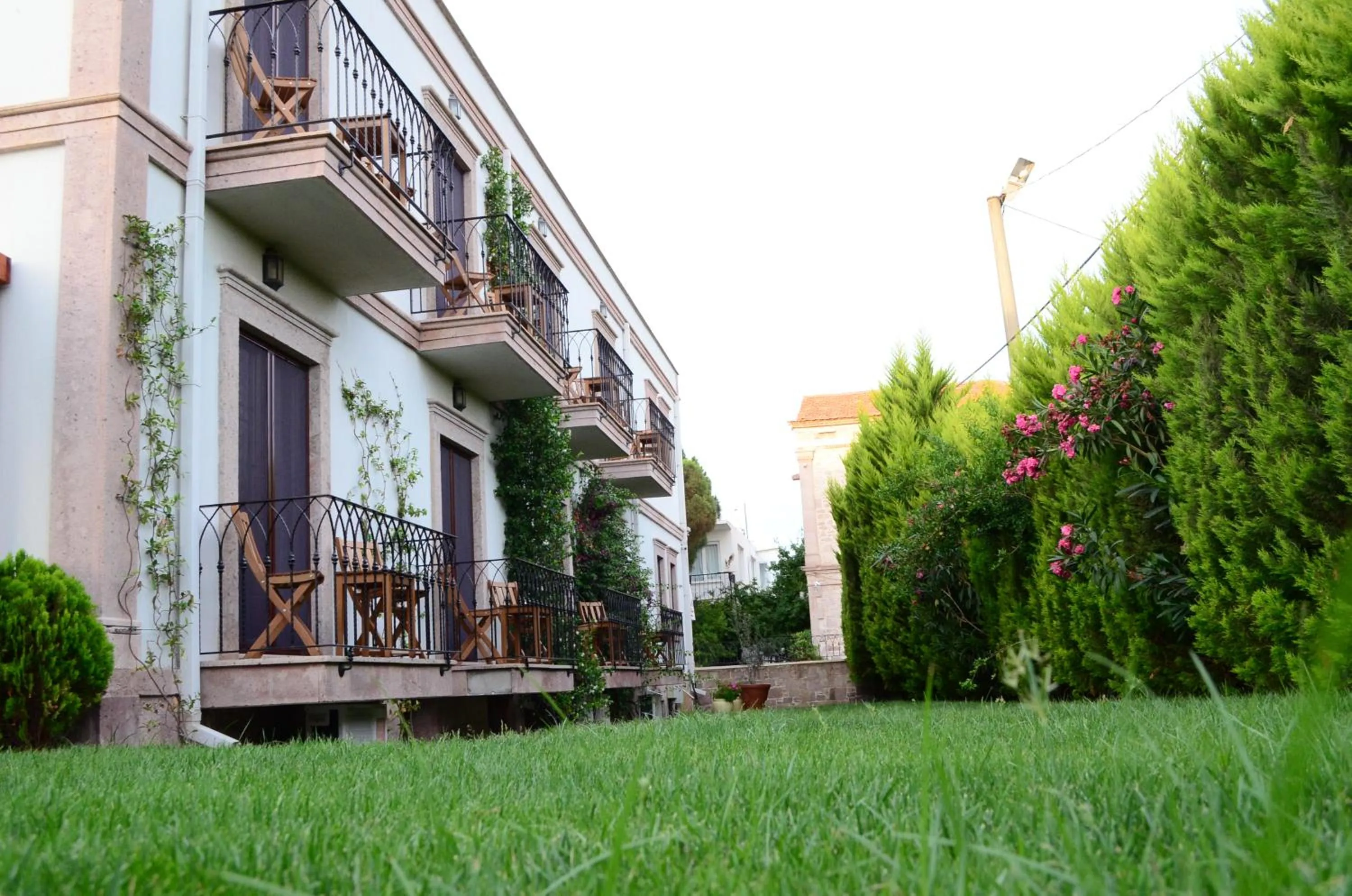 Garden view in Elia Hotel Cunda by Ortunc