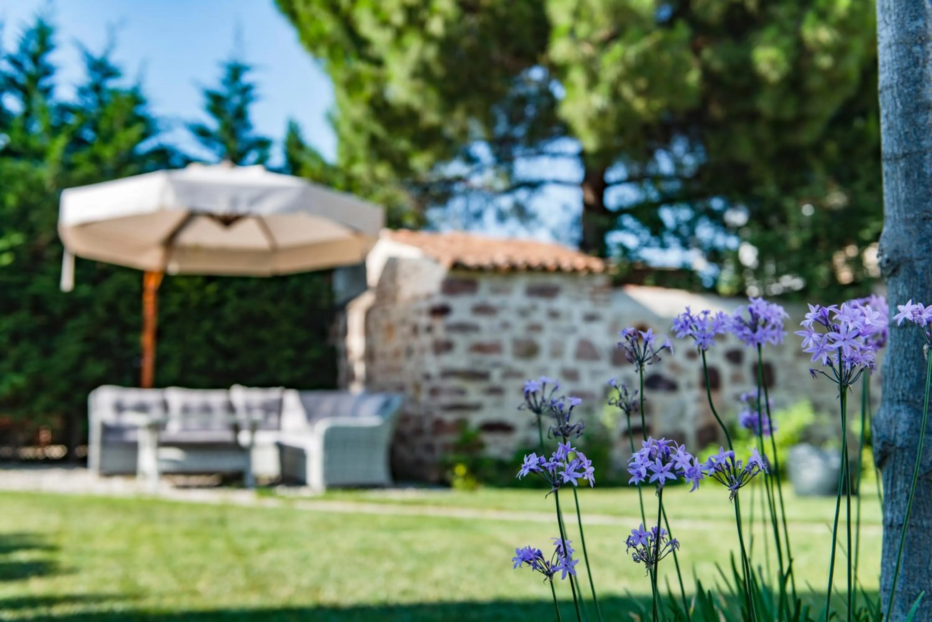 Natural landscape in Elia Hotel Cunda by Ortunc