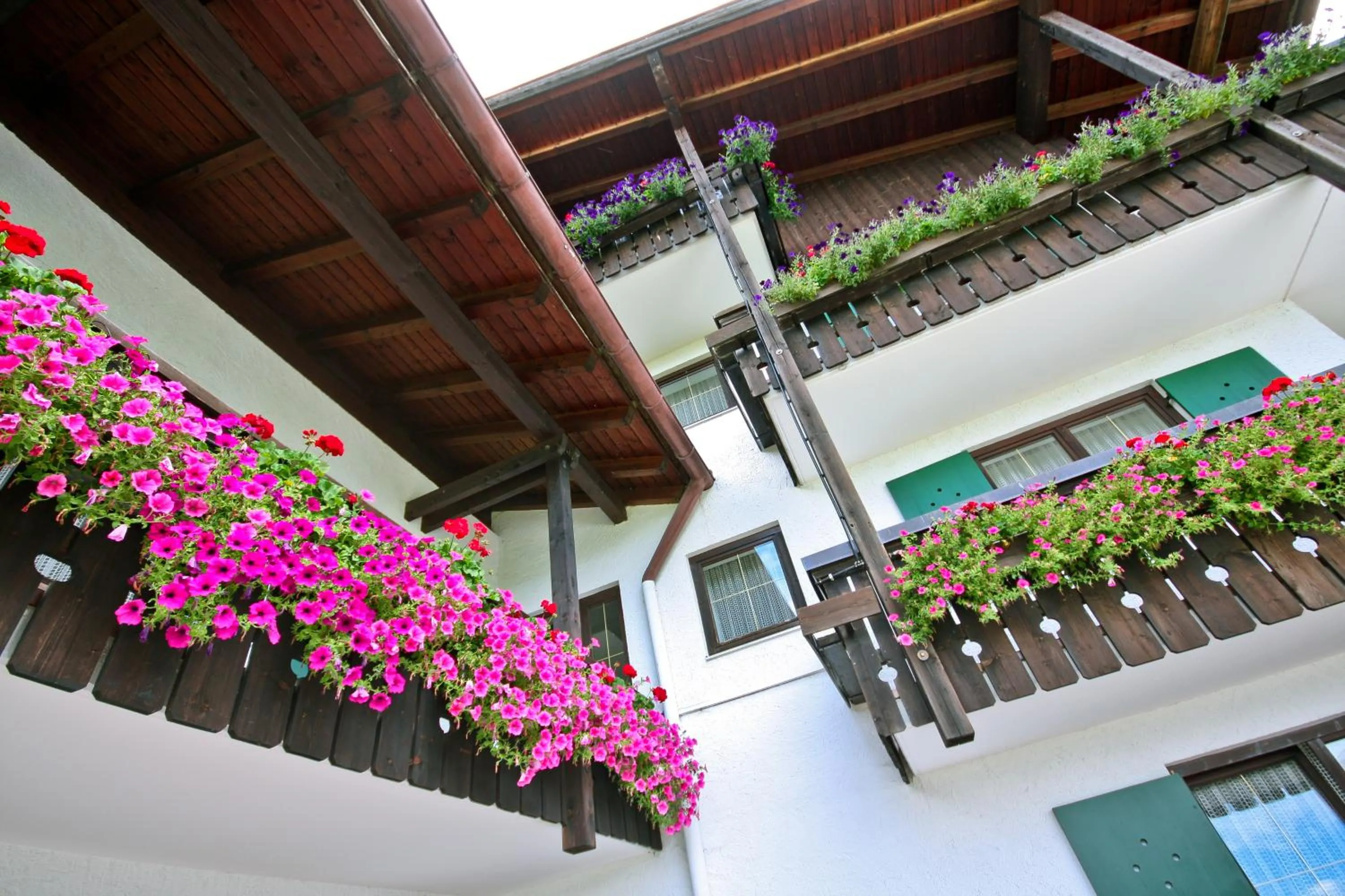 Patio in Alpenhotel Denninglehen