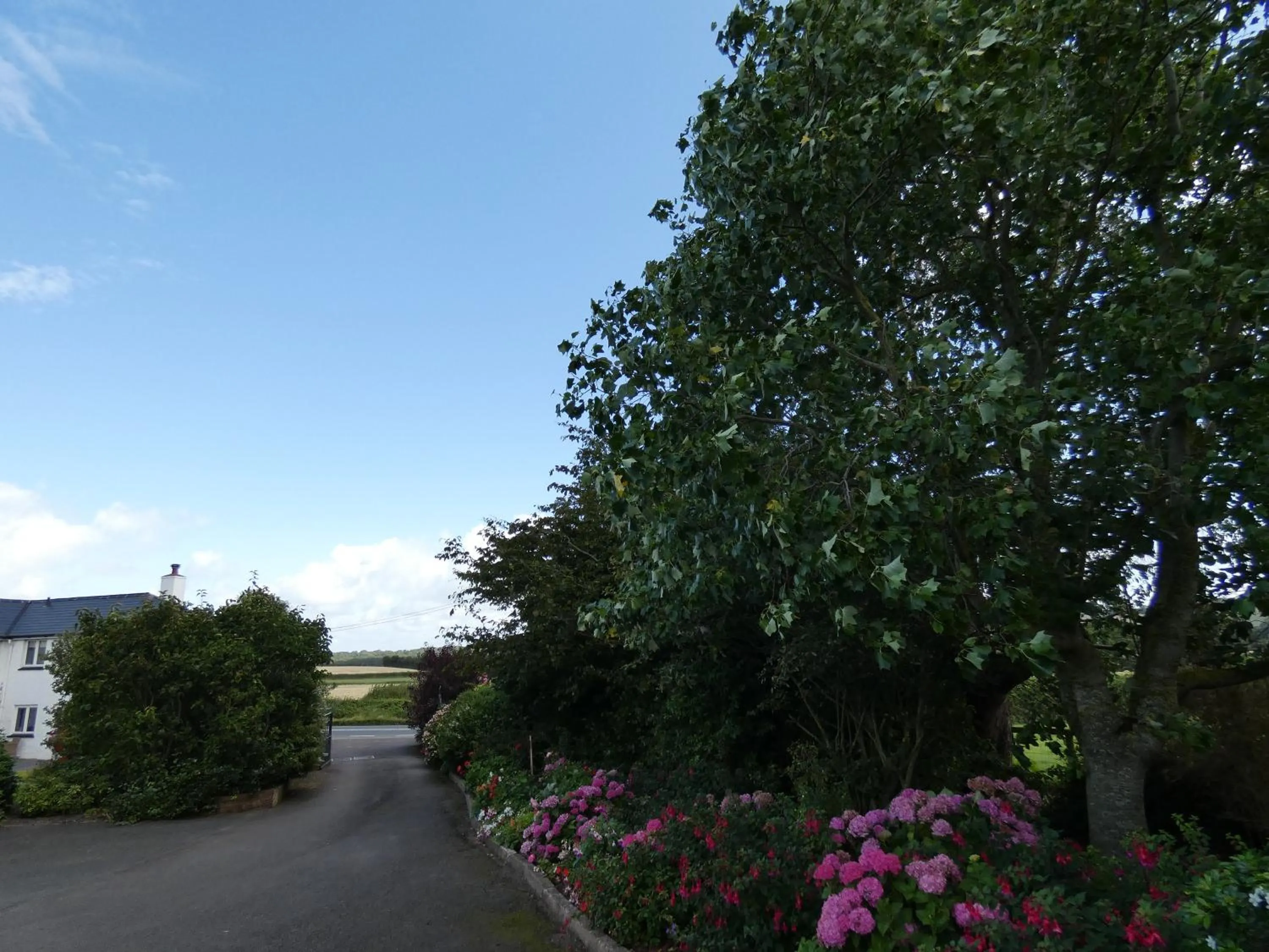 Garden in Bournestream
