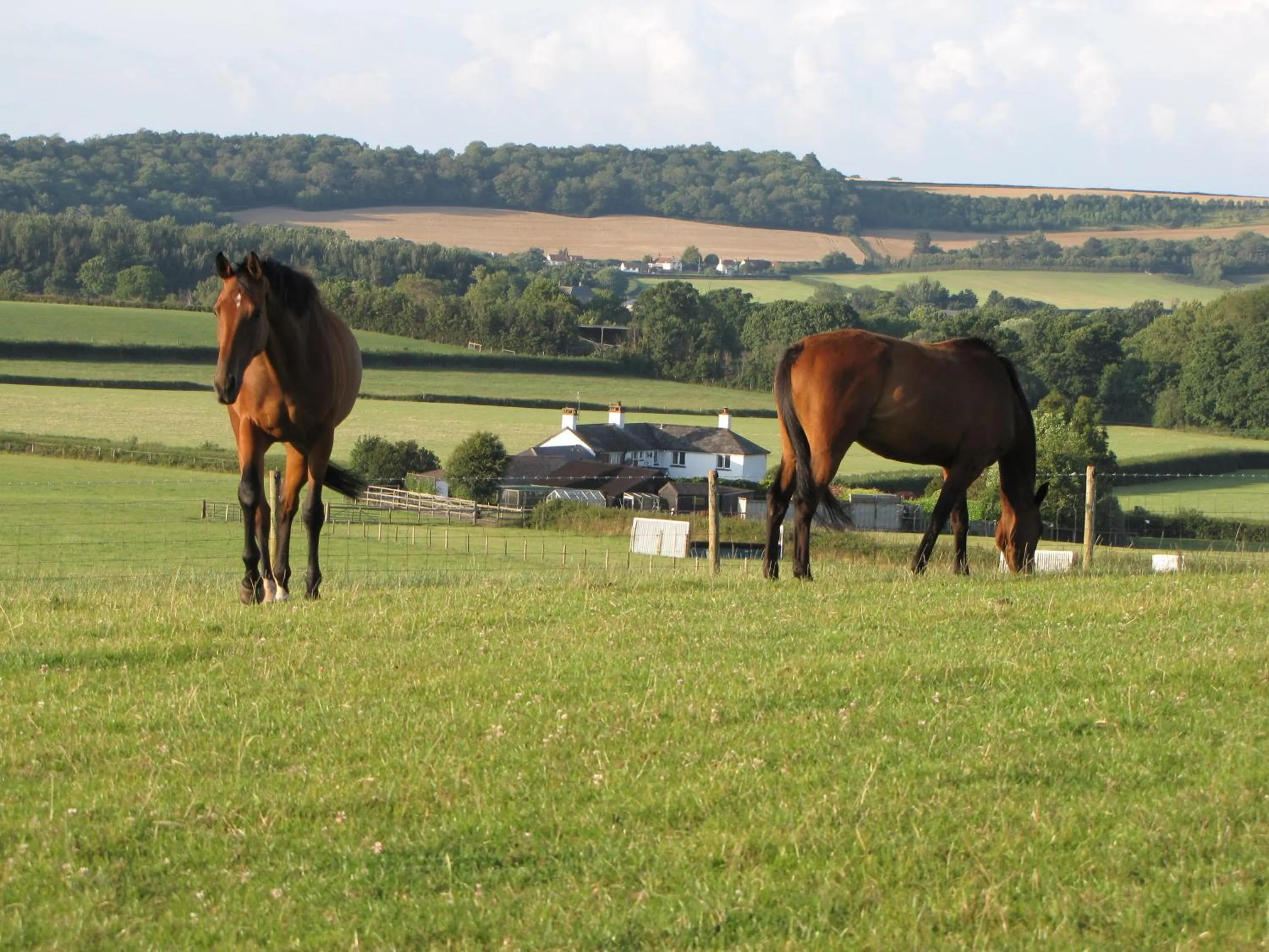 View (from property/room) in Bournestream