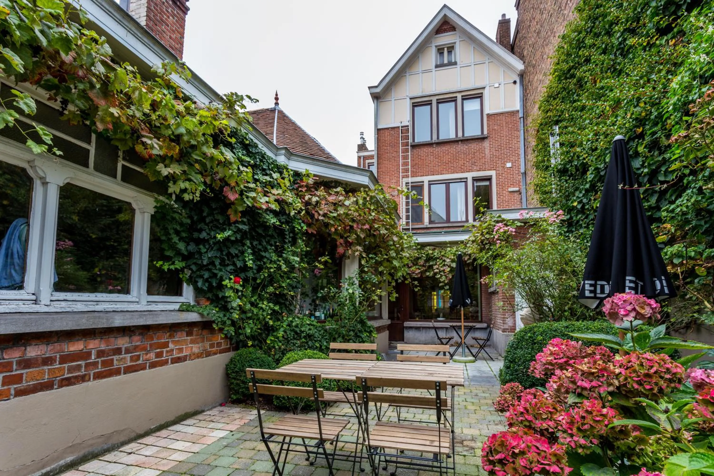 Garden in Hotel Bla Bla