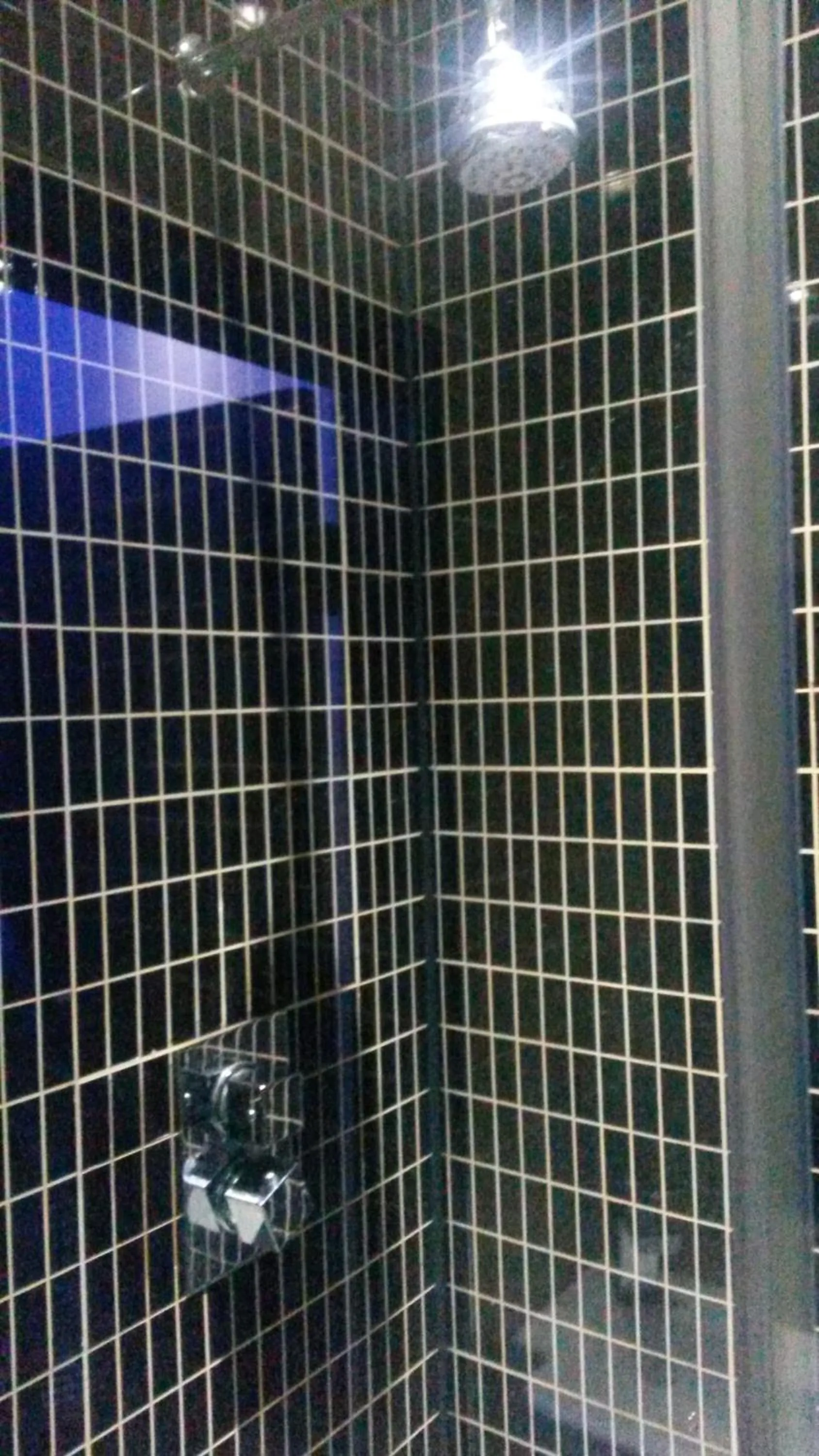 Shower in The Crystal Lodge Hotel