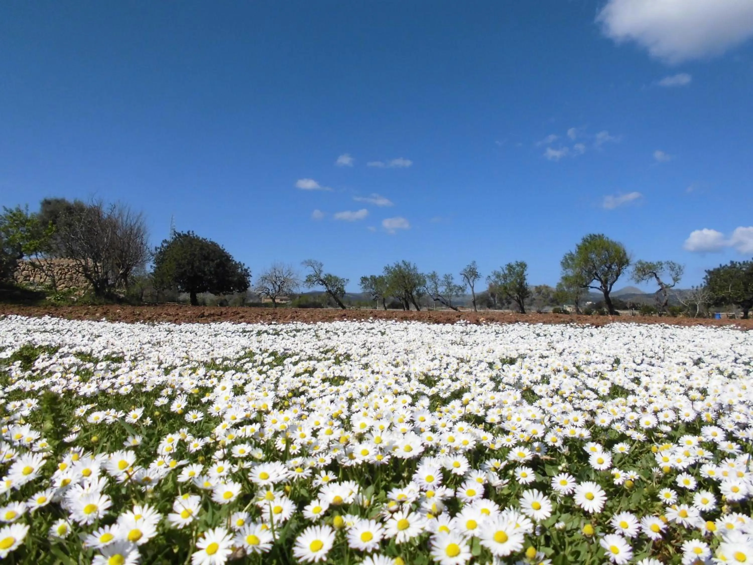Other in Agroturismo Na Set Centes - Adults Only