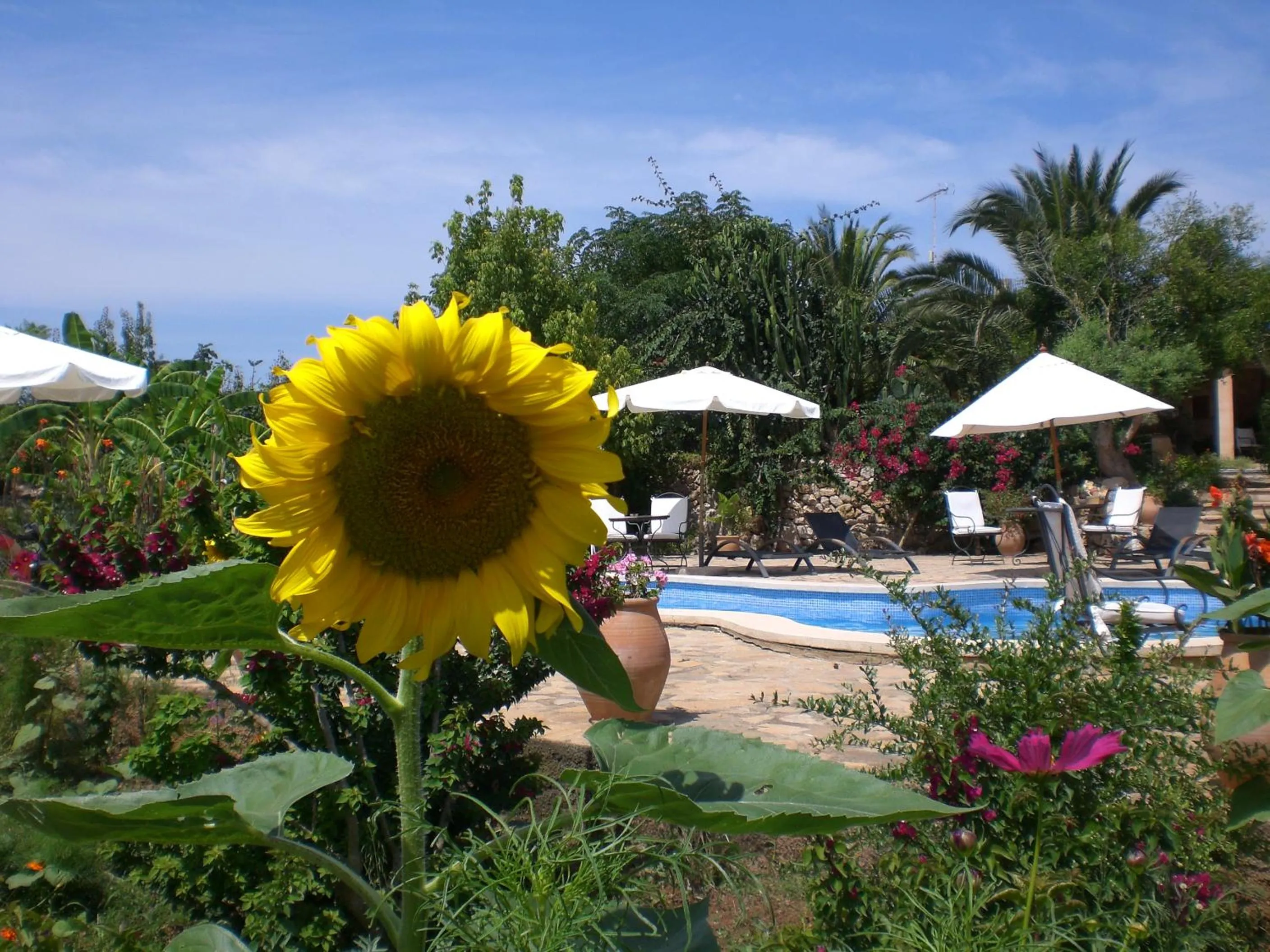 Garden in Agroturismo Na Set Centes - Adults Only