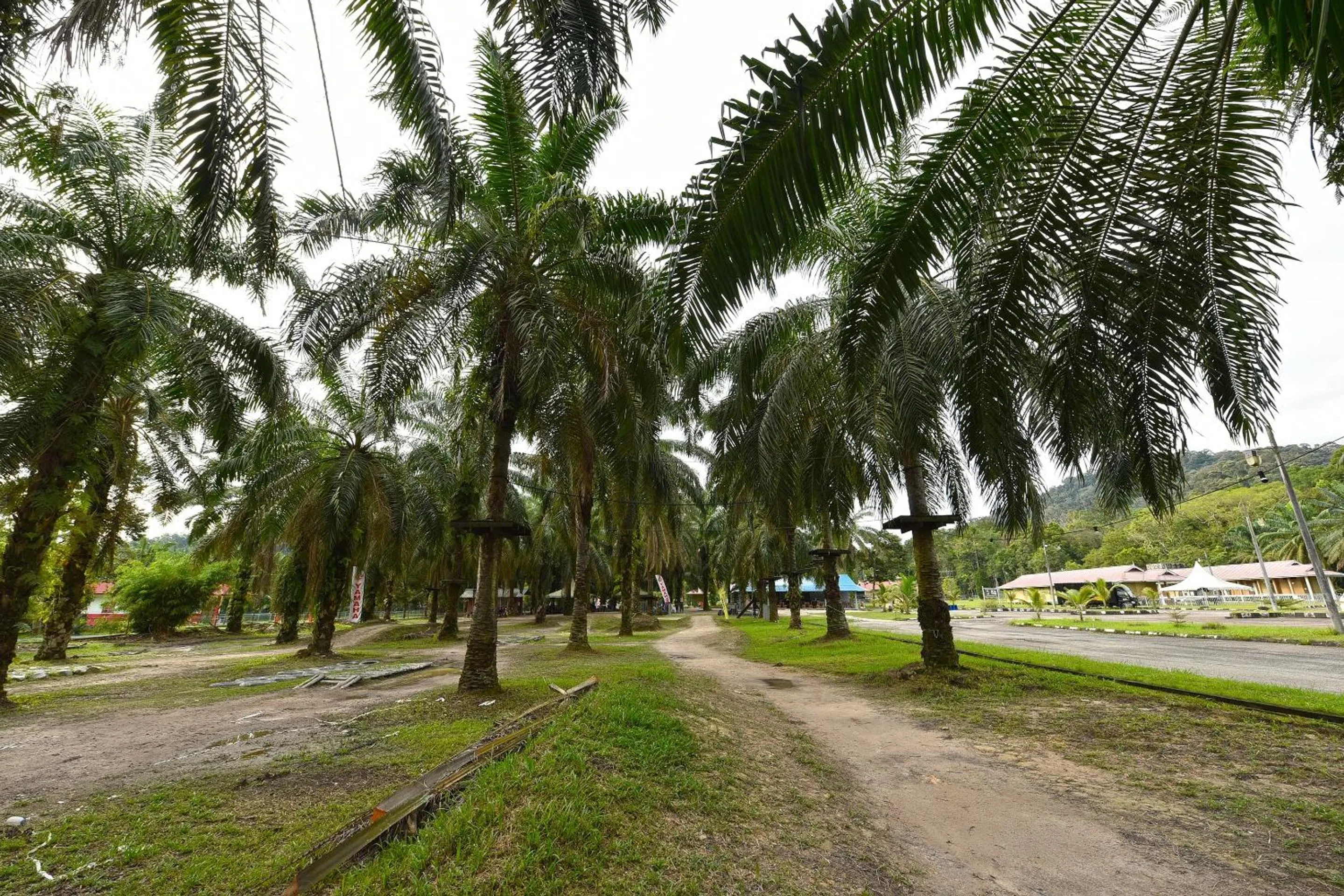 Lobby or reception in Hotel O Otternest @ Gunung Pulai 2