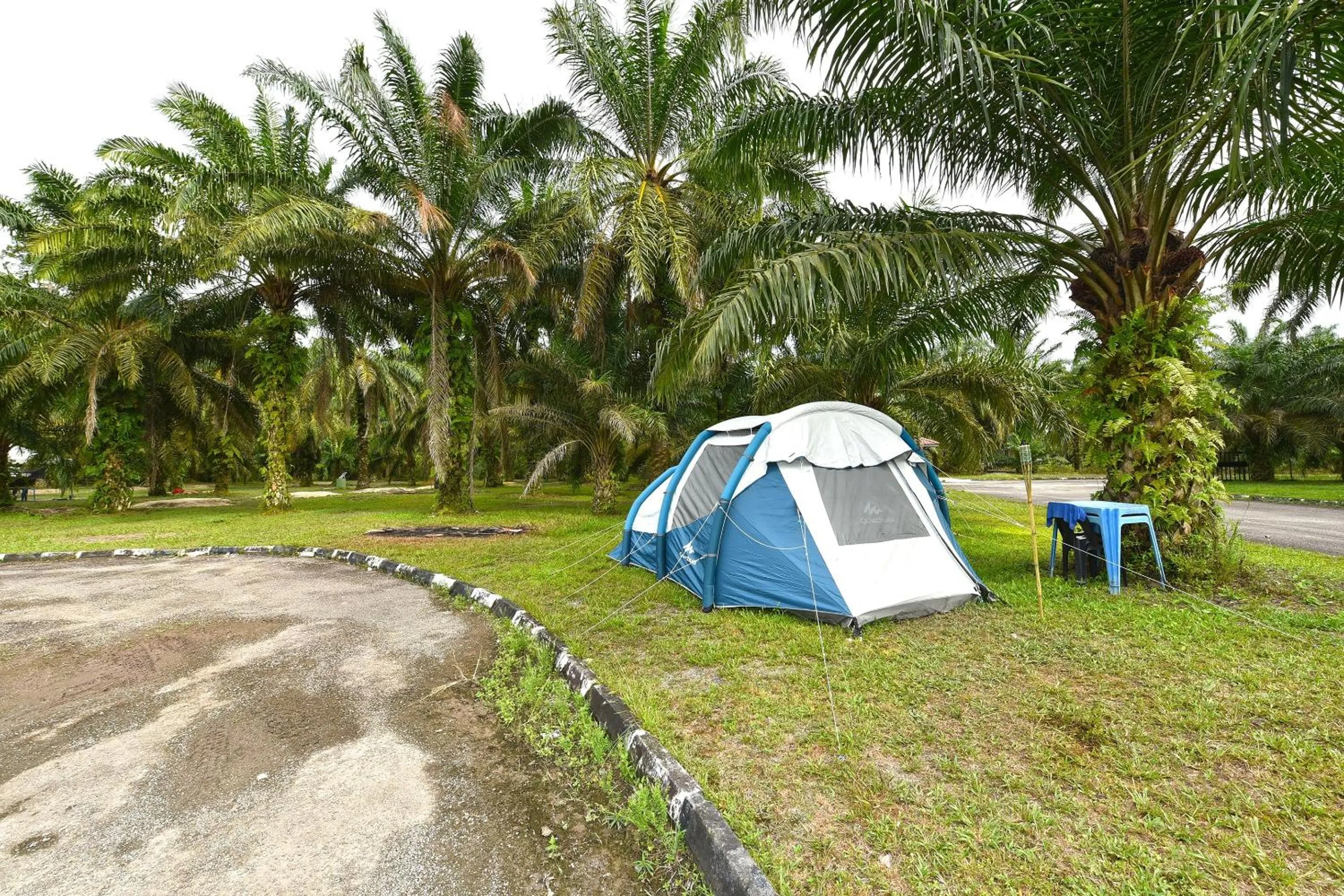 Lobby or reception in Hotel O Otternest @ Gunung Pulai 2