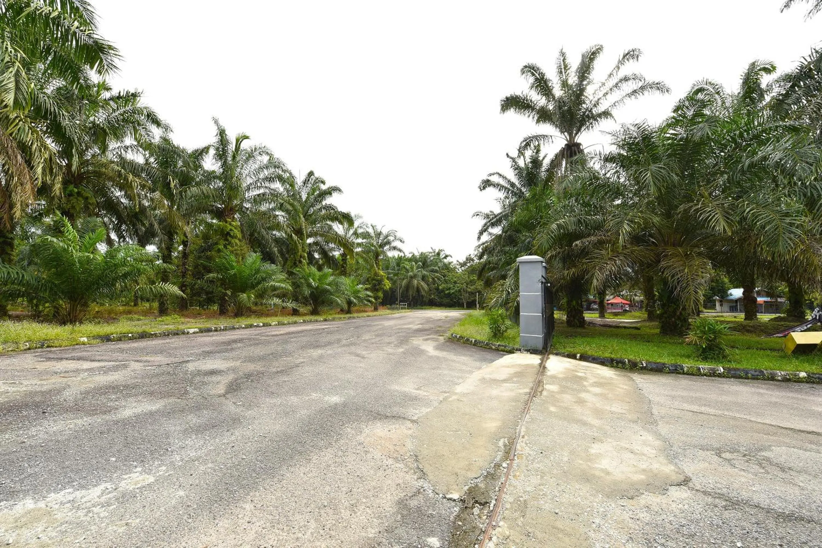 Lobby or reception in Hotel O Otternest @ Gunung Pulai 2