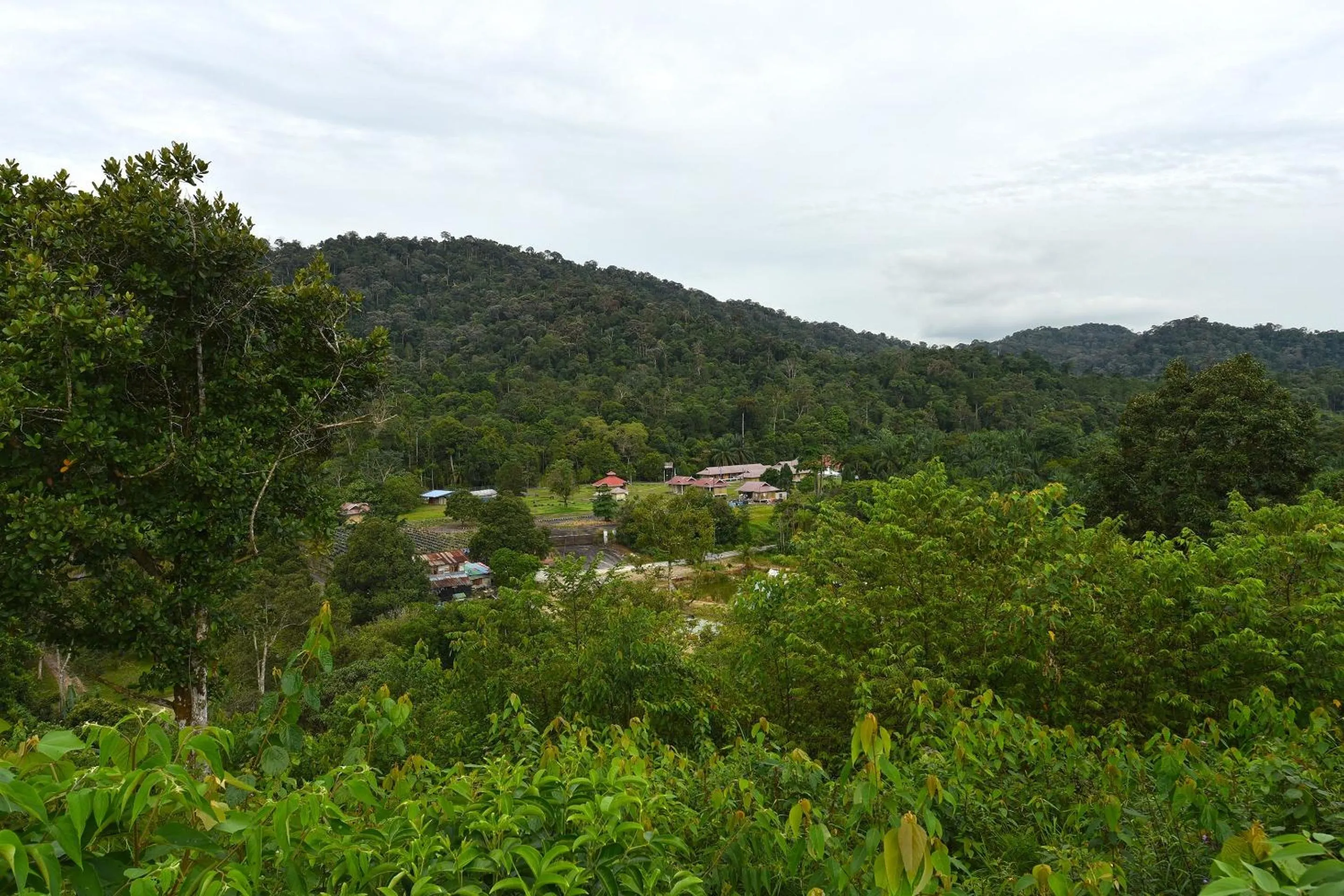 Lobby or reception in Hotel O Otternest @ Gunung Pulai 2