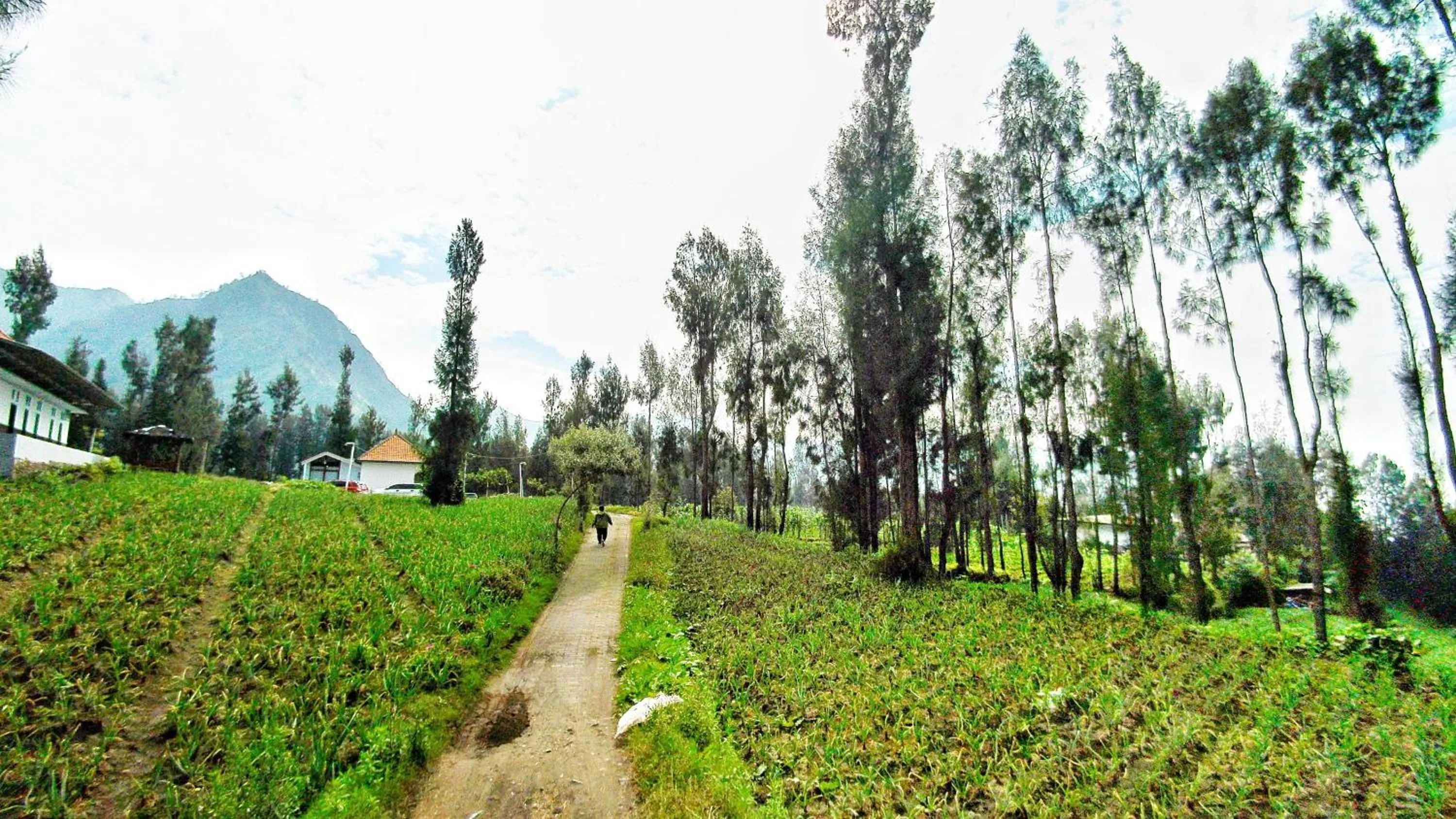 View (from property/room) in Elen Homestay by ABM