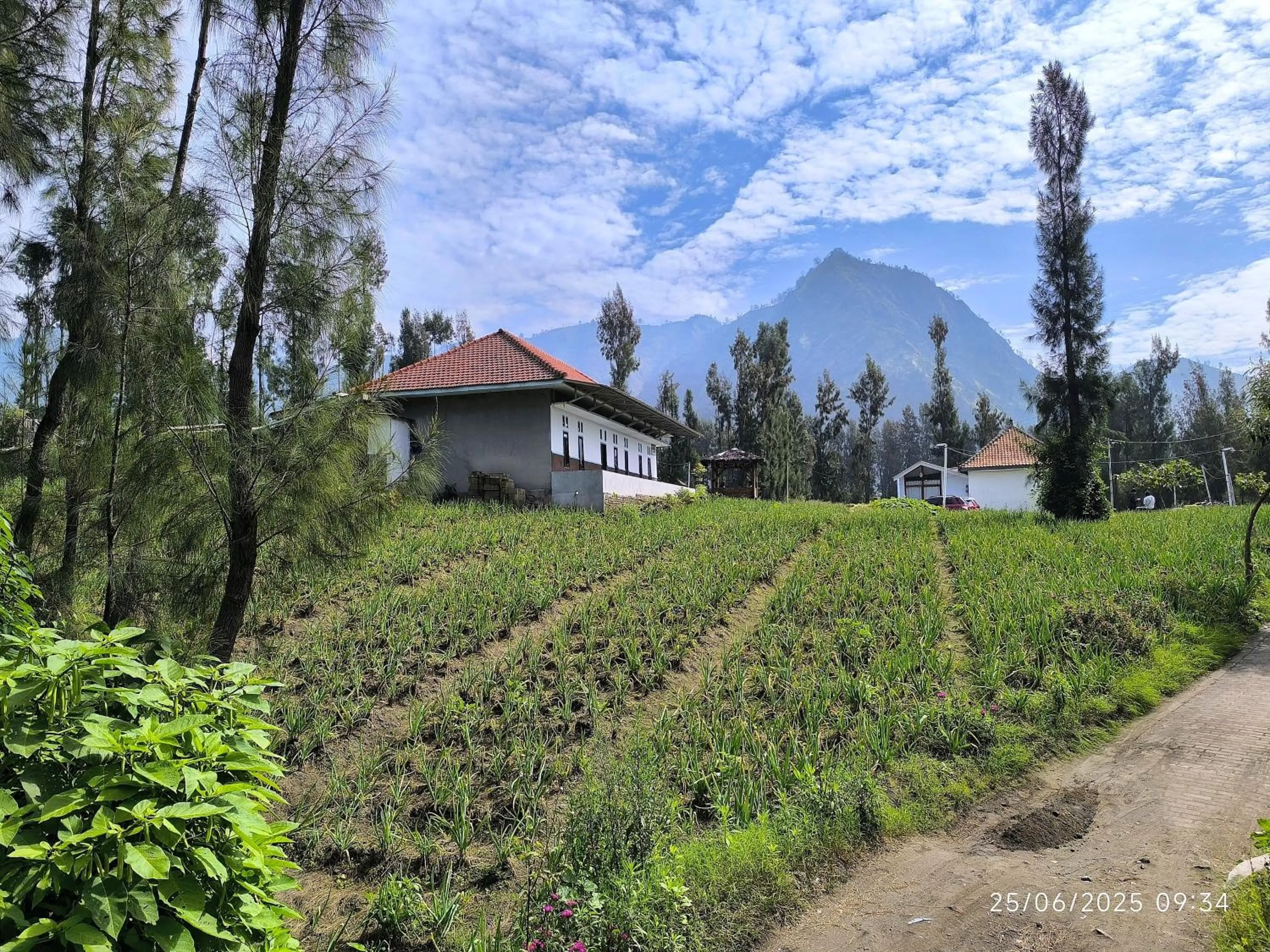 View (from property/room) in Elen Homestay by ABM