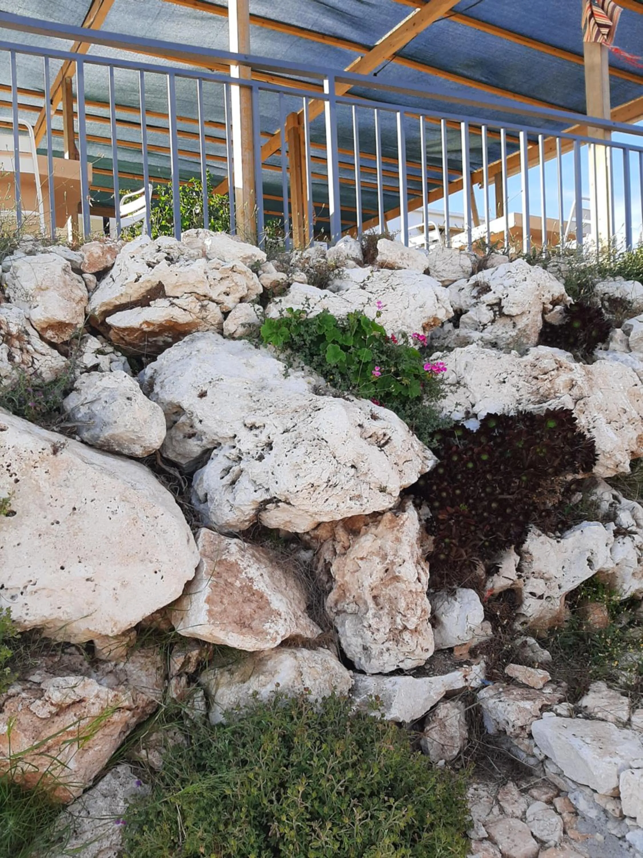 Property building in Agallio Nature Resort - Adults Only