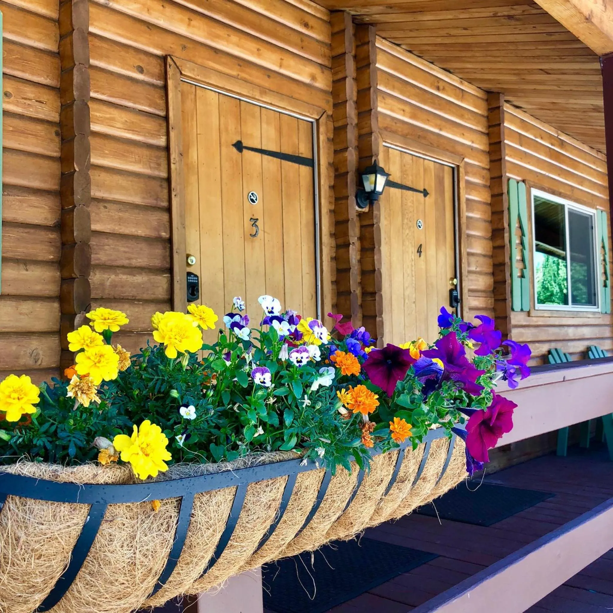 Traditional Queen Room in Virginia Creek Settlement