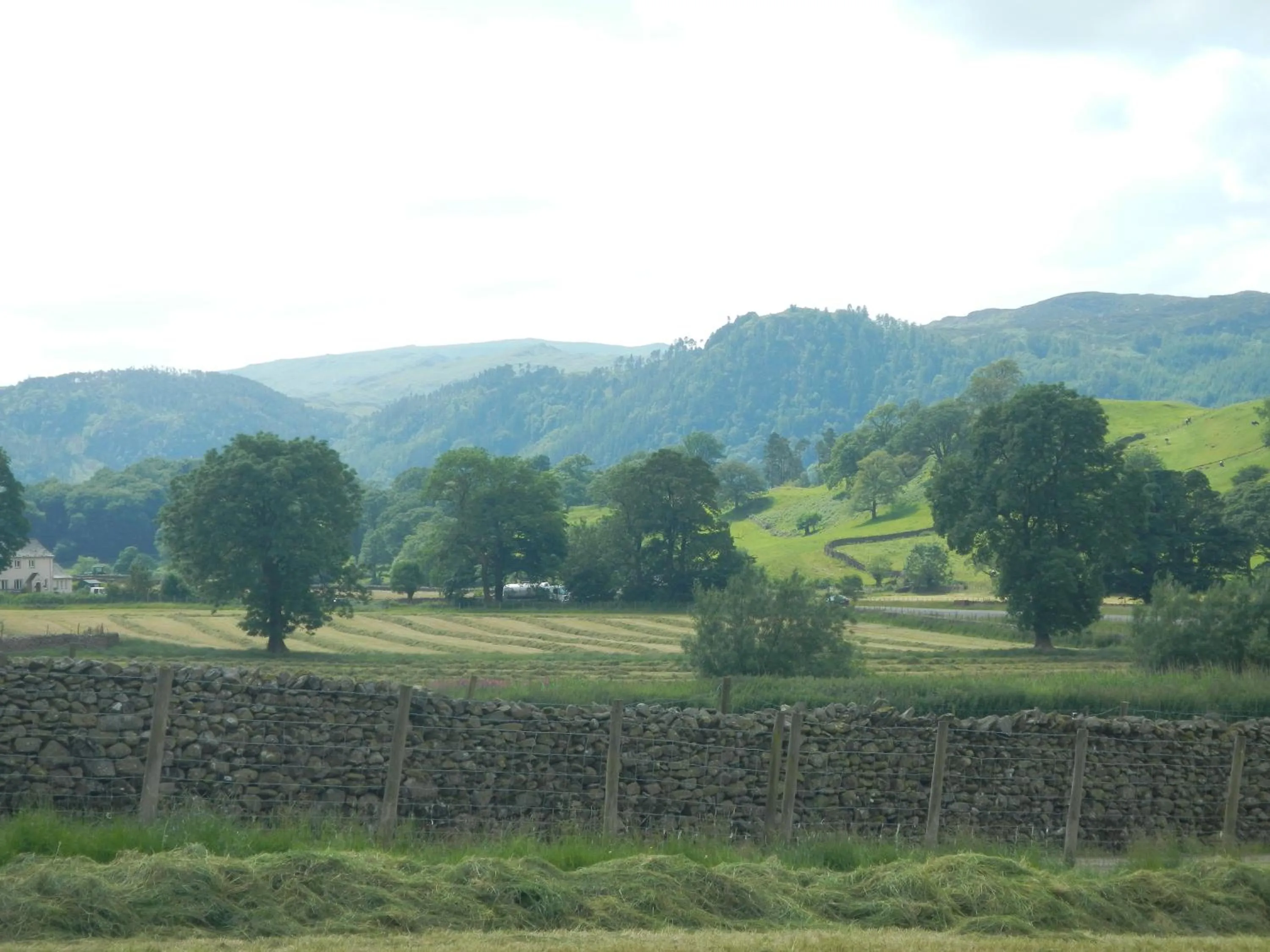 Natural landscape in Stybeck Farm