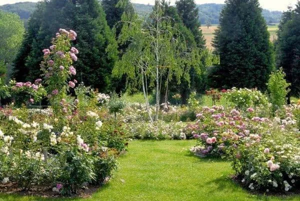 Landhaus Ettenbühl Bed and Breakfast