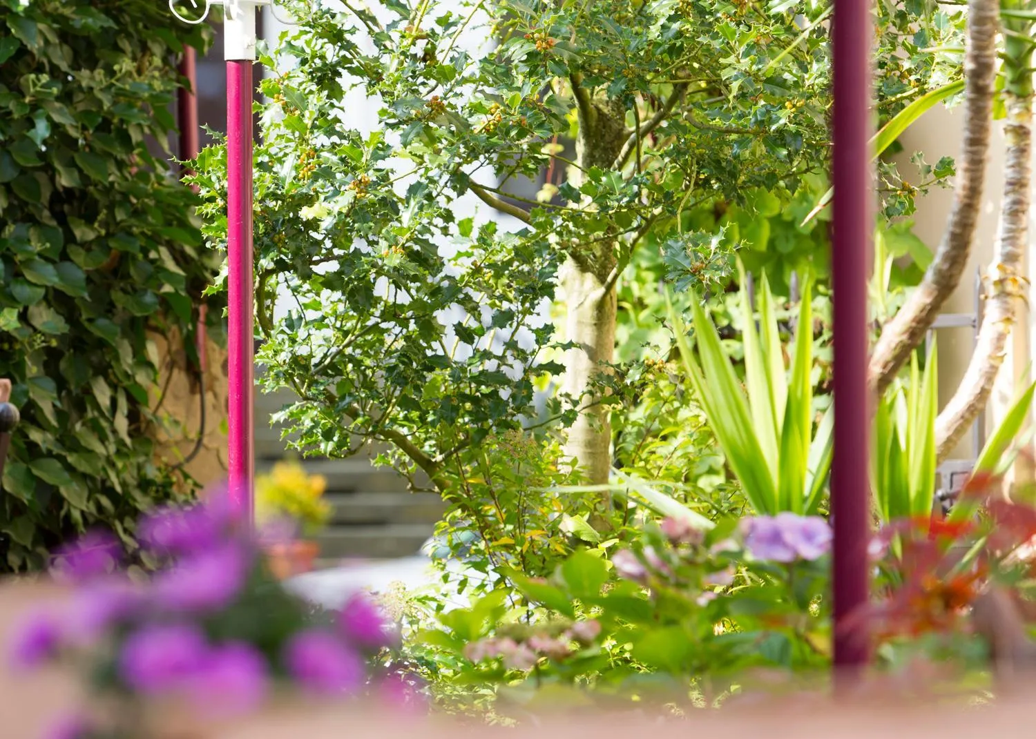 Patio in Hotel Ambiente