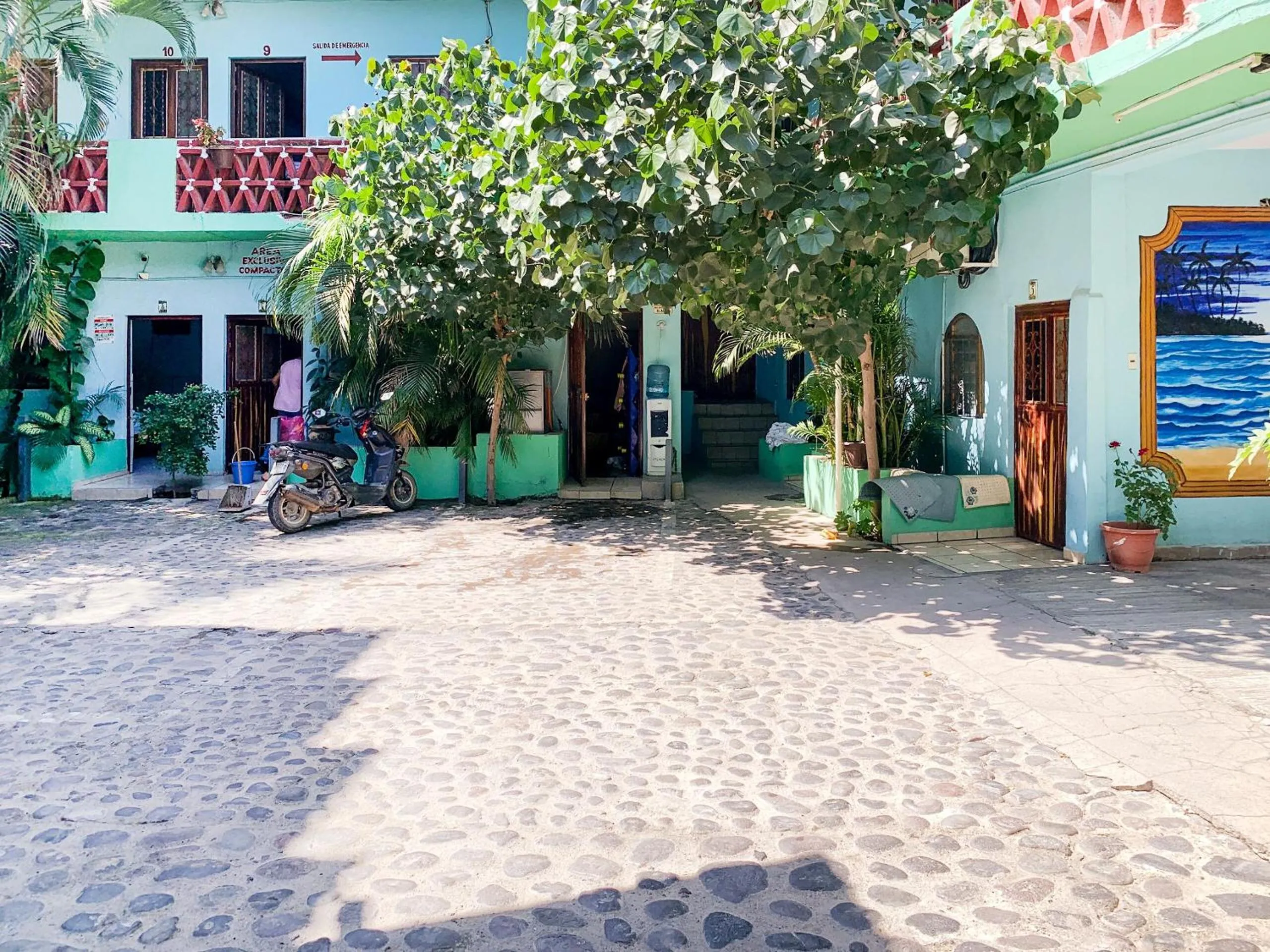 Garden in Hotel Posada Agua Escondida