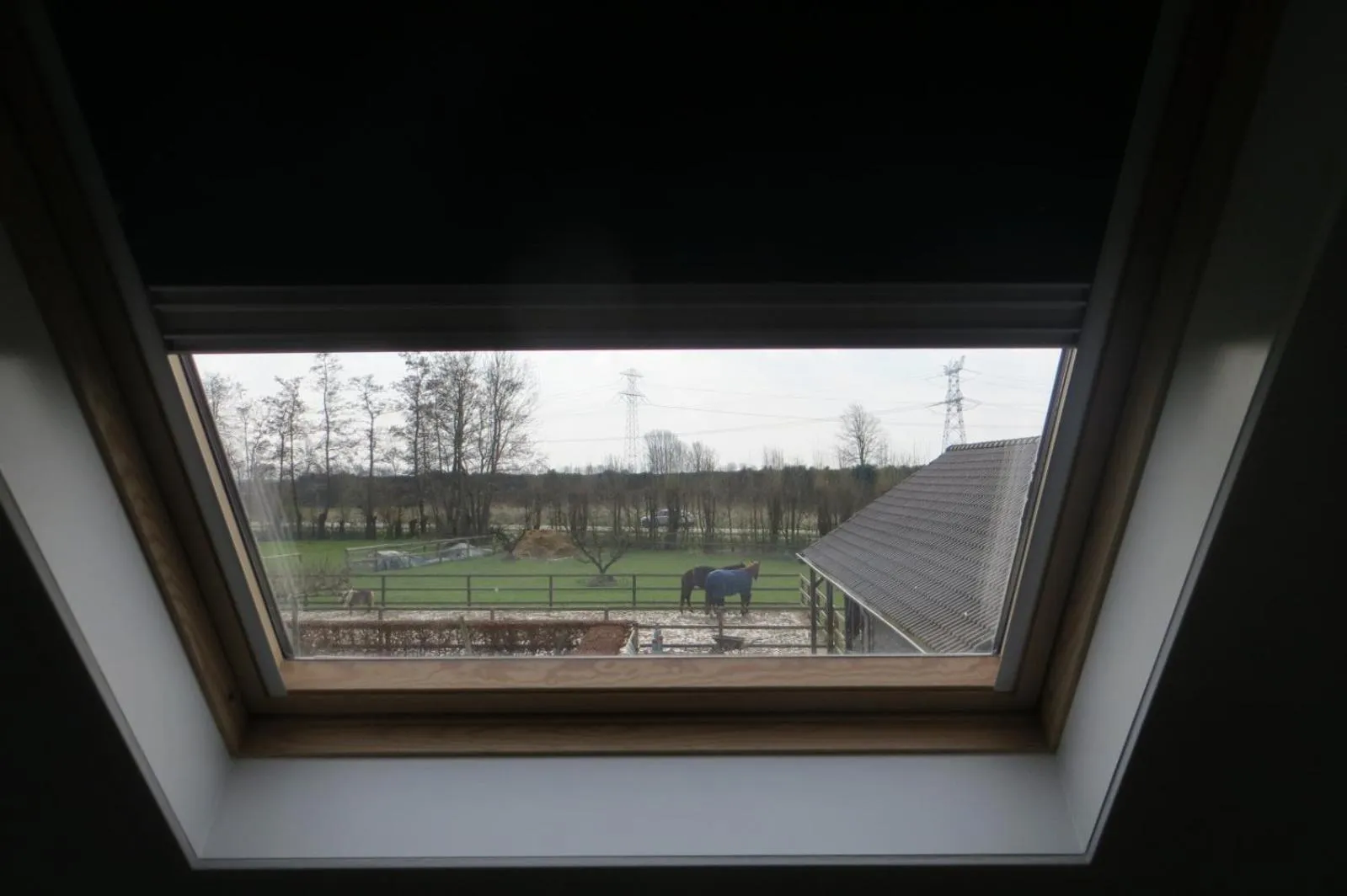 Garden view in B&B Biesehof