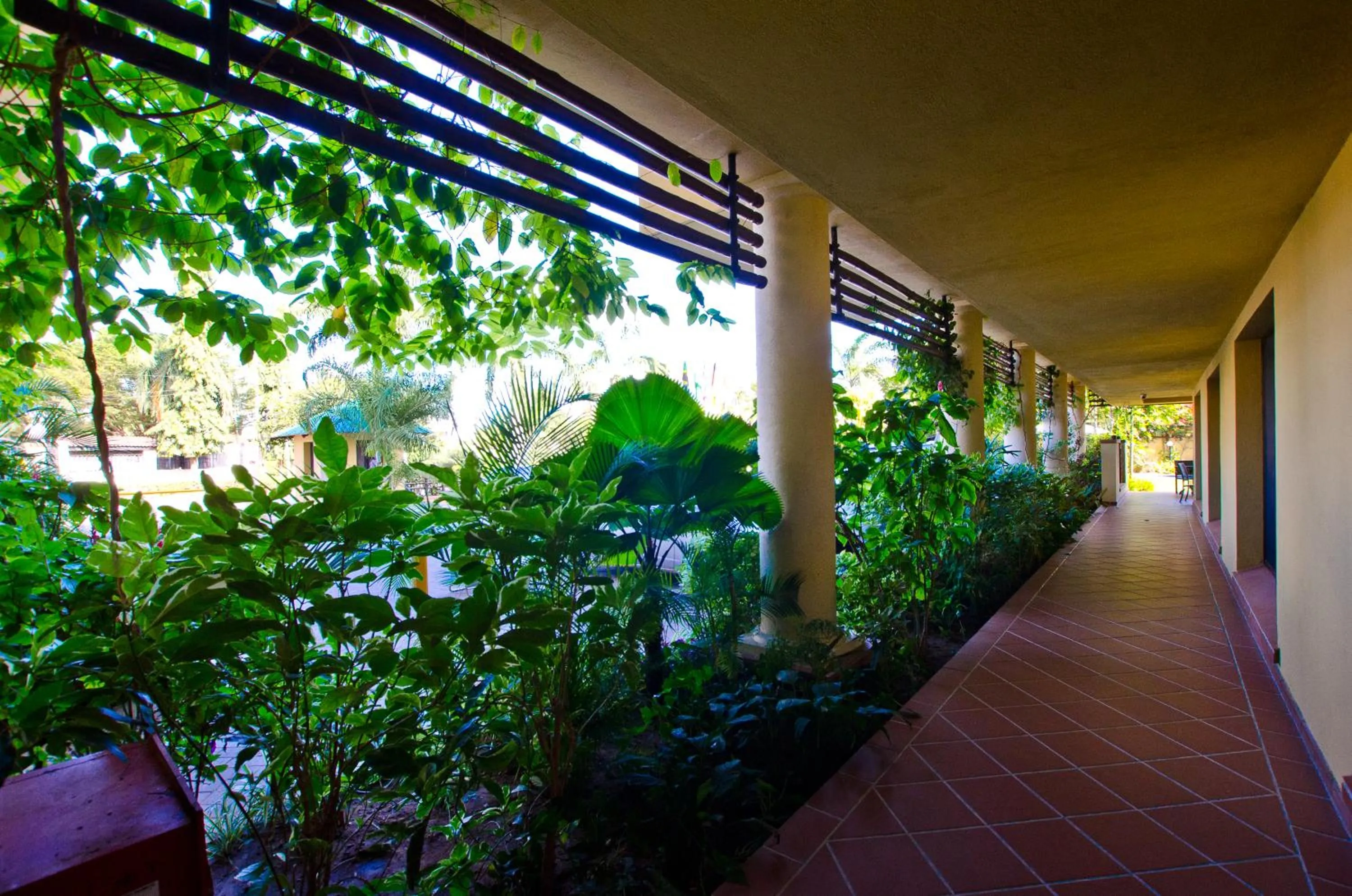 Garden in Sea Cliff Court Hotel & Luxury Apartments
