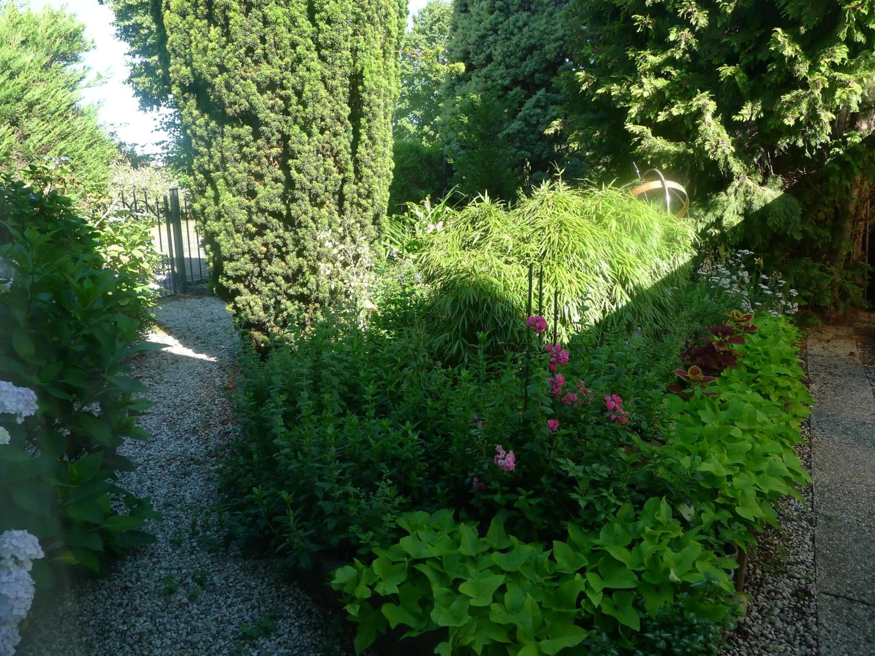 Day in B&B De Kleine Wijngaard