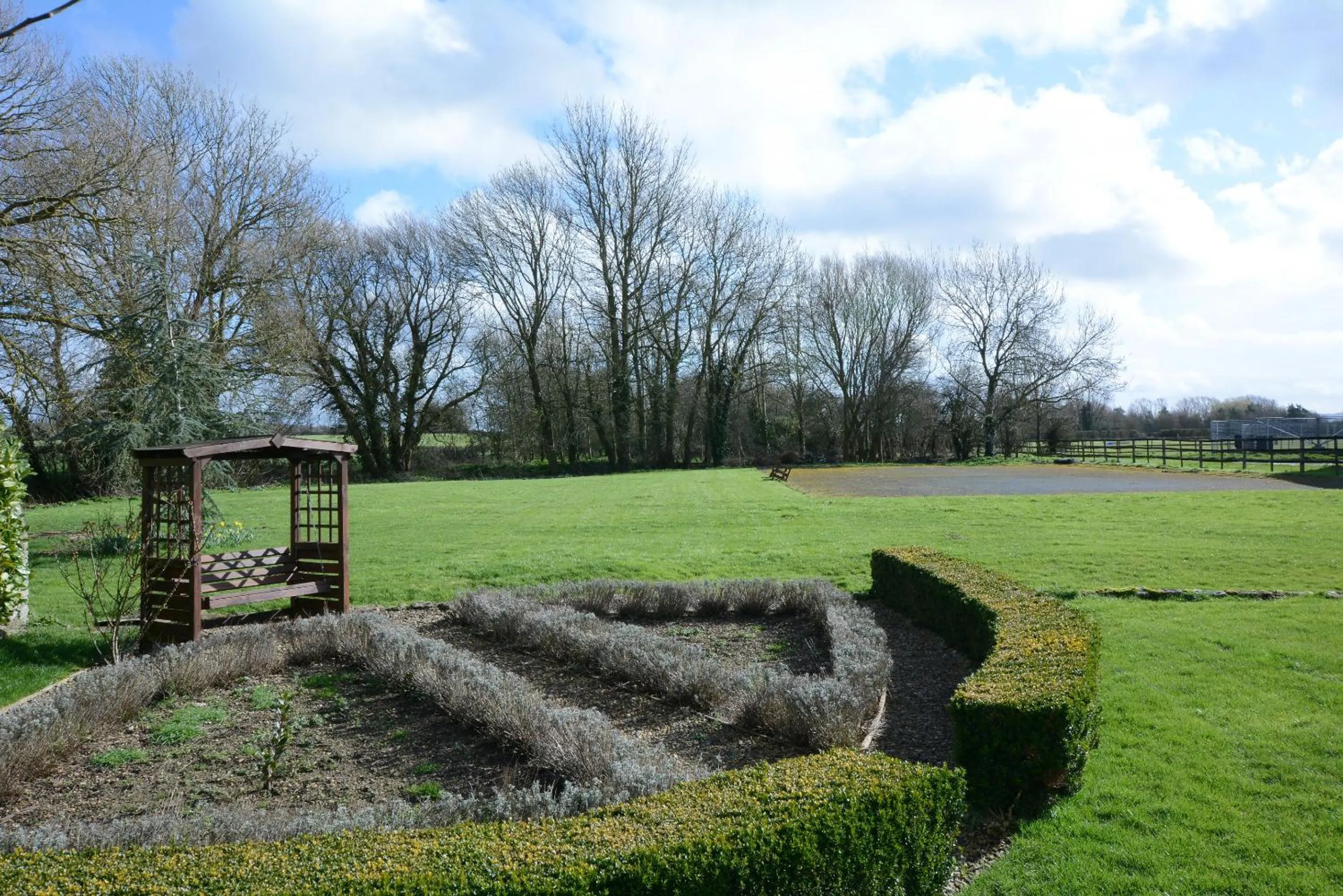 Garden in The Old School