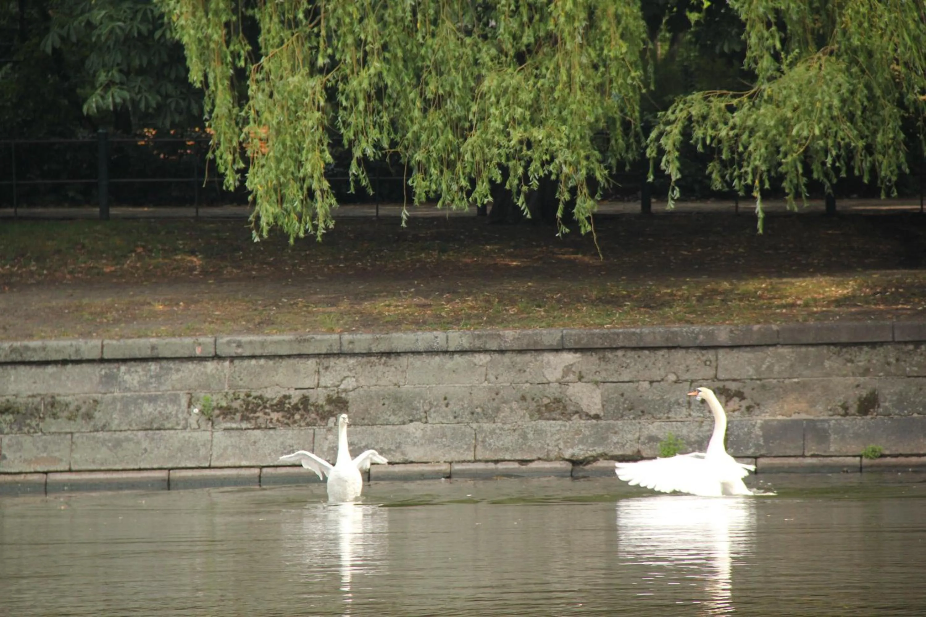 Street view in City Hotel Gotland