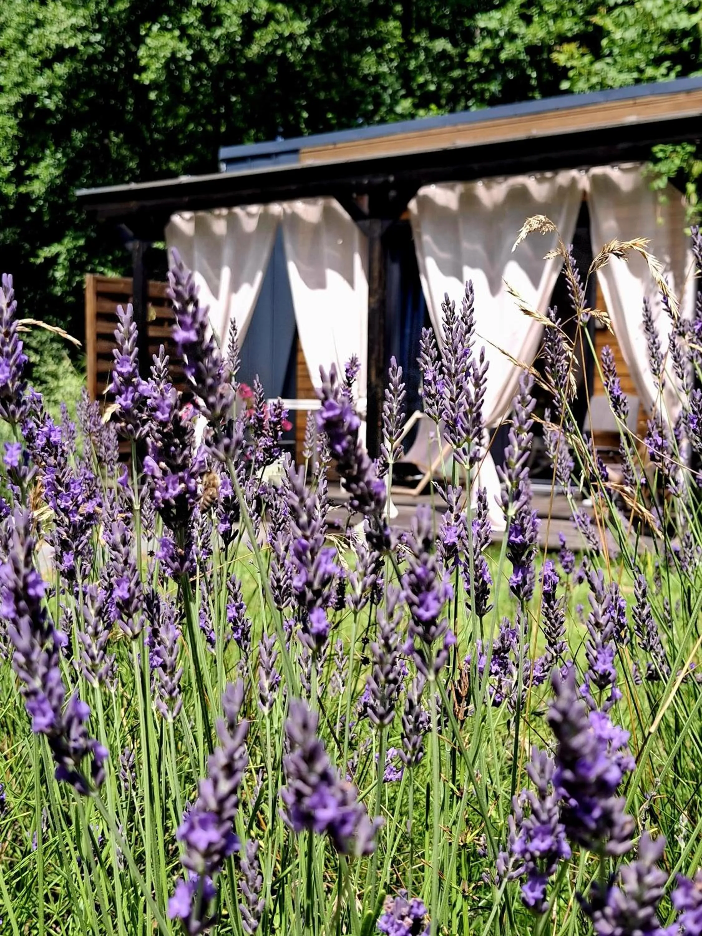 Garden in OSADA POD LASEM