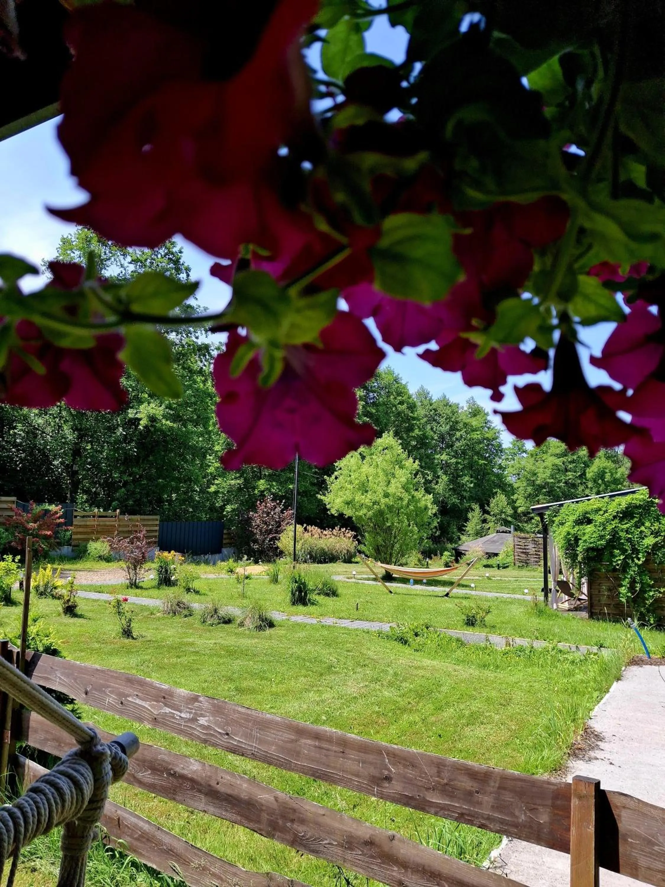 Garden in OSADA POD LASEM