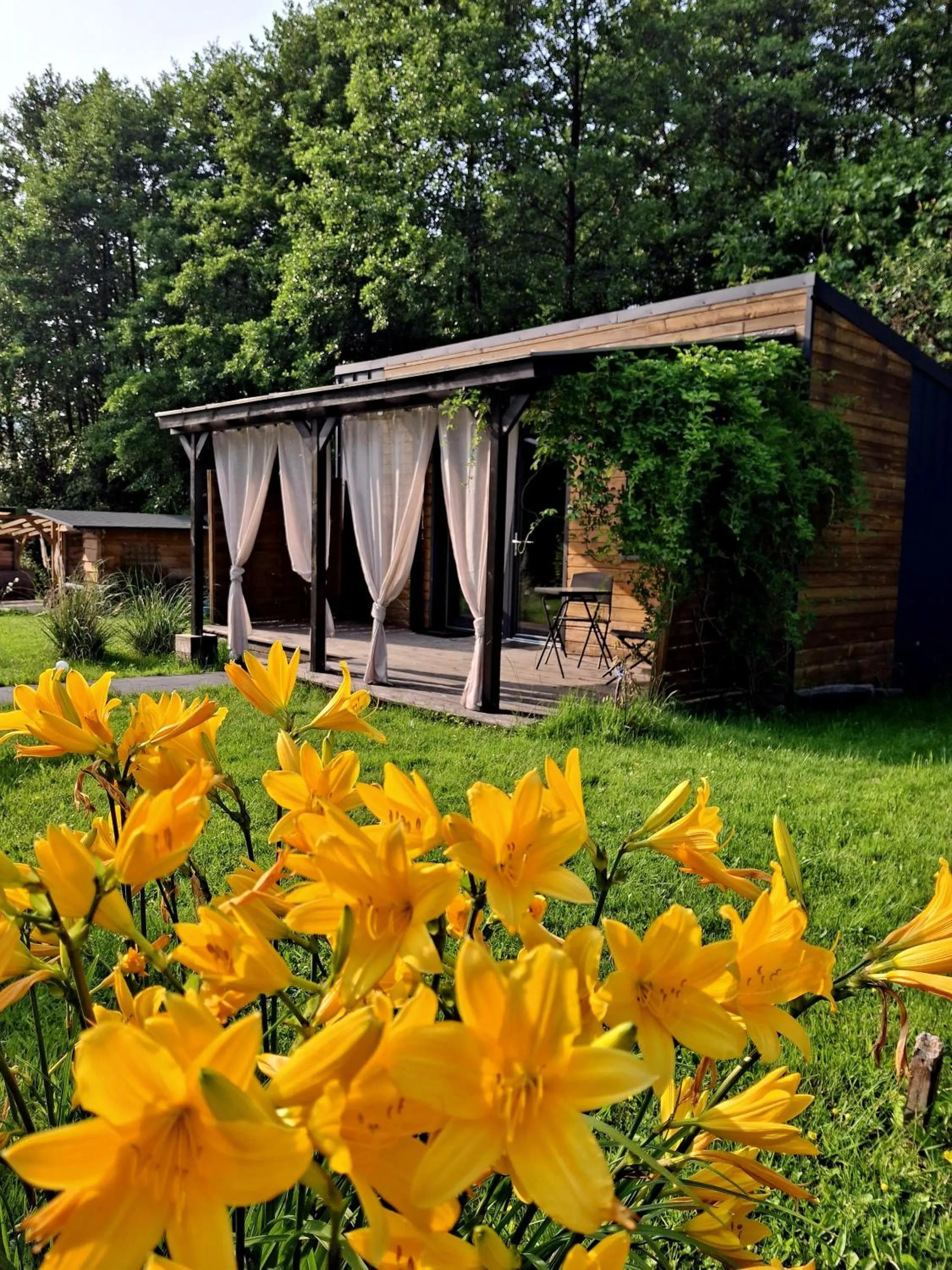 Garden in OSADA POD LASEM