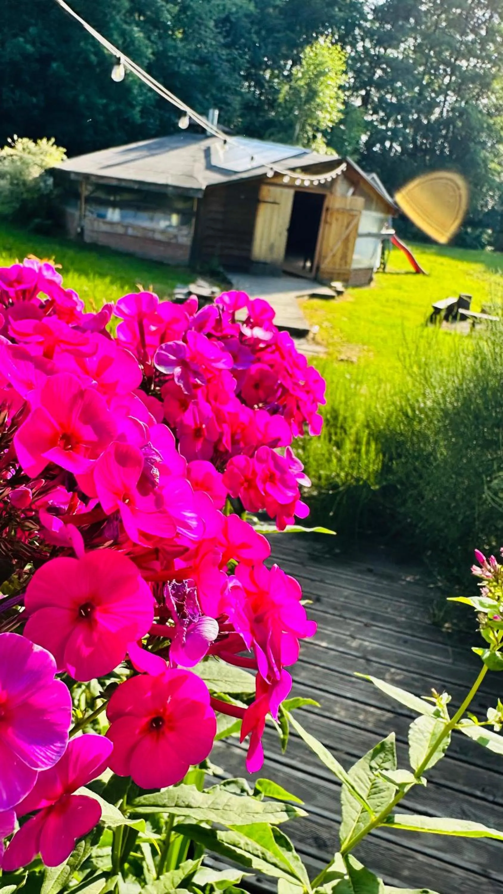 Garden in OSADA POD LASEM