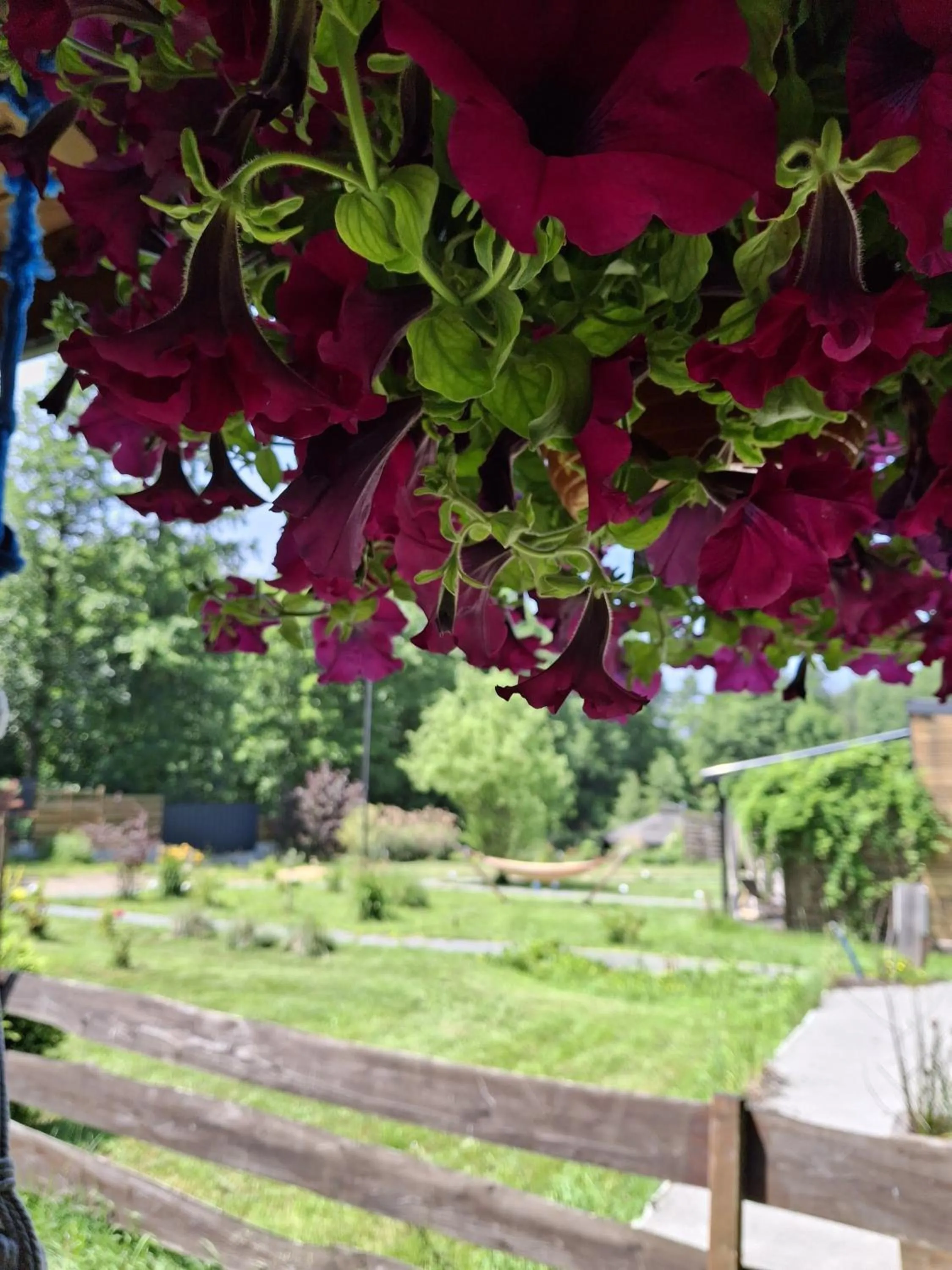 View (from property/room) in OSADA POD LASEM